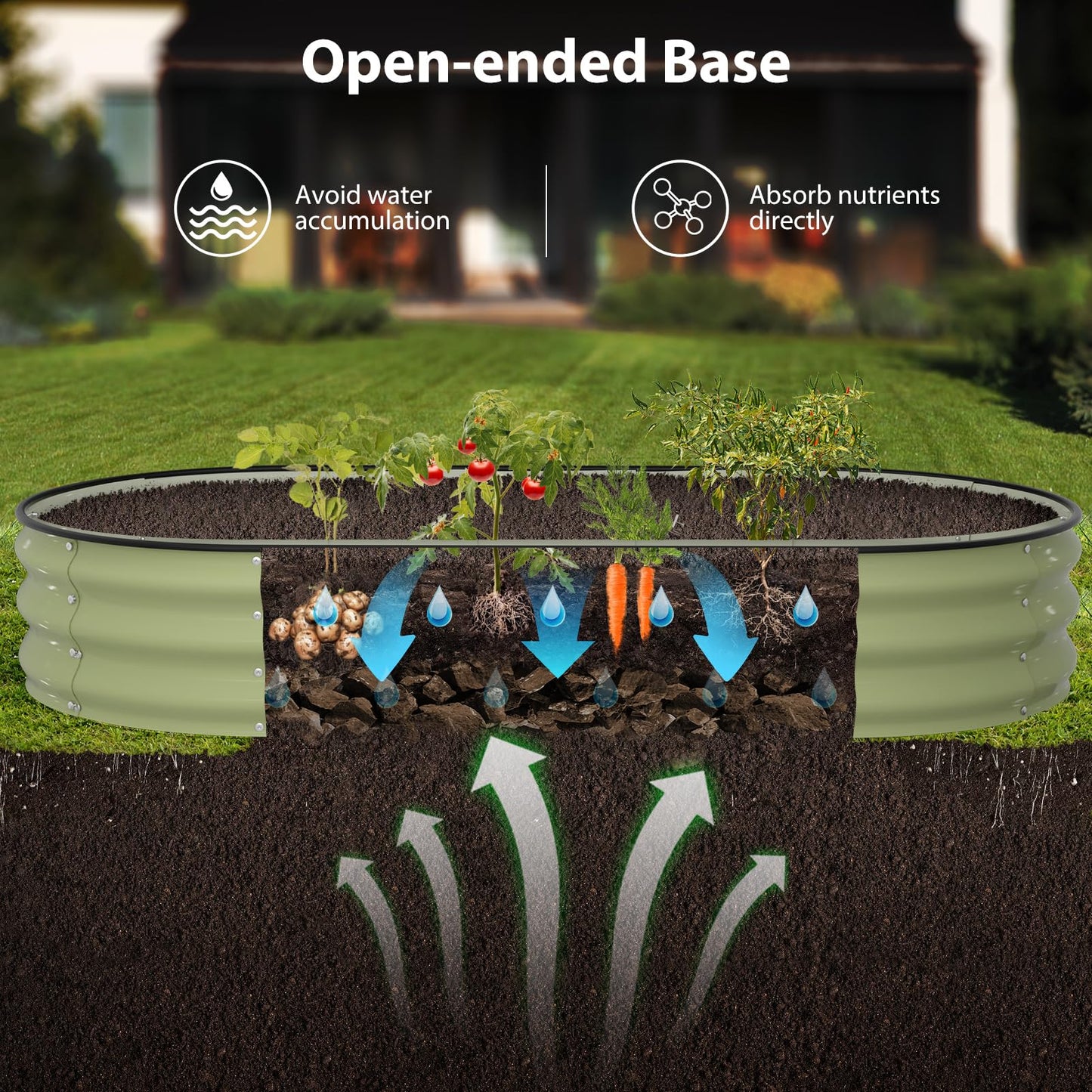 Winpull Raised Garden Bed Kit, 6x3x1 ft Galvanized Planter Box Outdoor with Safety Edging, Large Metal Raised Beds for Gardening Vegetables Flower Herb (Avocado Green)