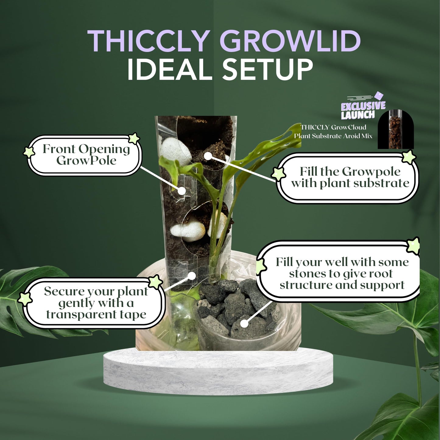 THICCLY Medium GrowLid 5 Pcs (Royal Blue) - Self Watering Clear D-Shaped Plastic Moss Pole Hydroponics Growing System Kratky Hydroponic Kit Moss Pole Monstera Plant Support Philodendron and Anthuriums
