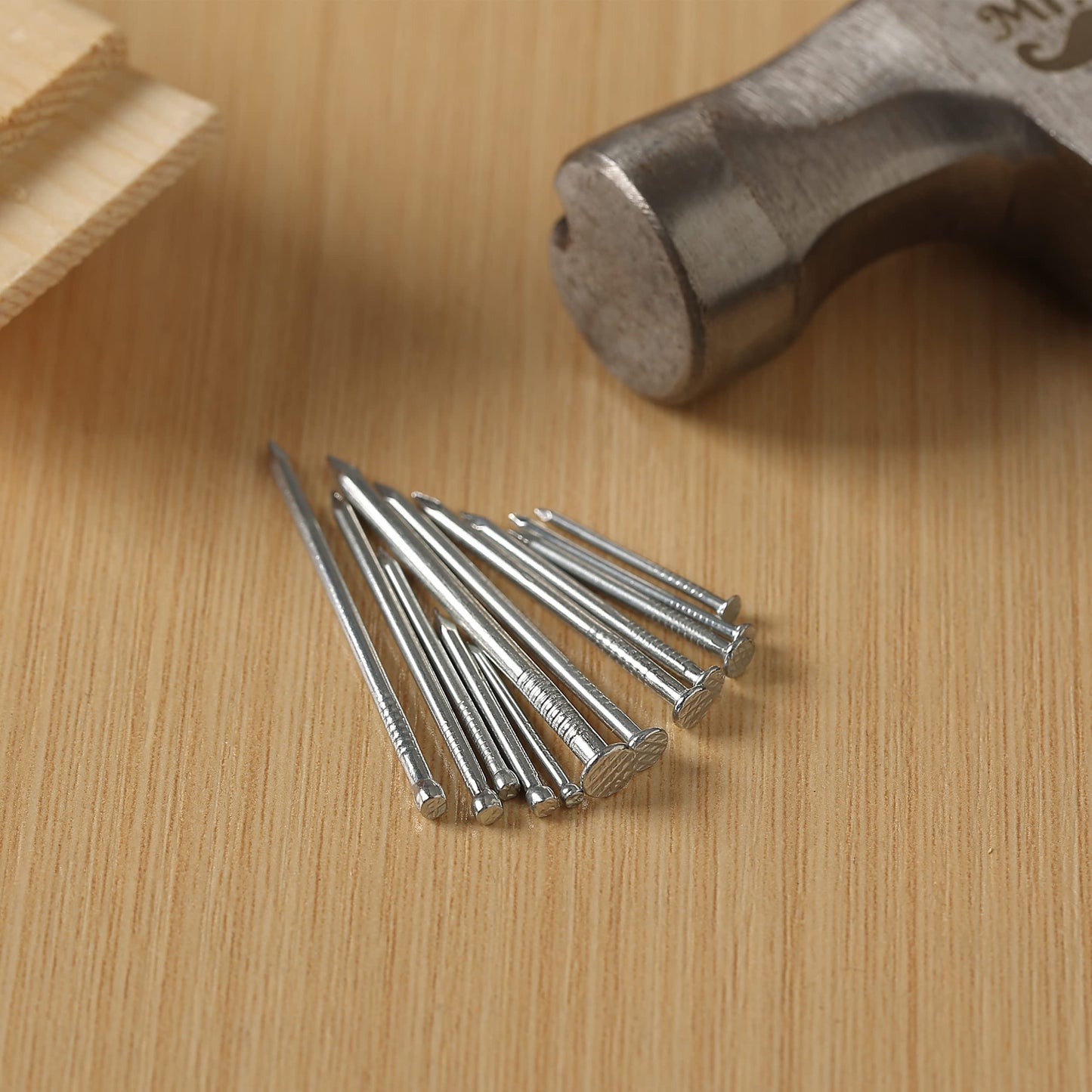 Mr. Pen- Nail Assortment Kit, 1500 Pcs, Assorted 12 Sizes Brad Head and Flat Head Nails, Small Nails for Hanging Pictures Bulk