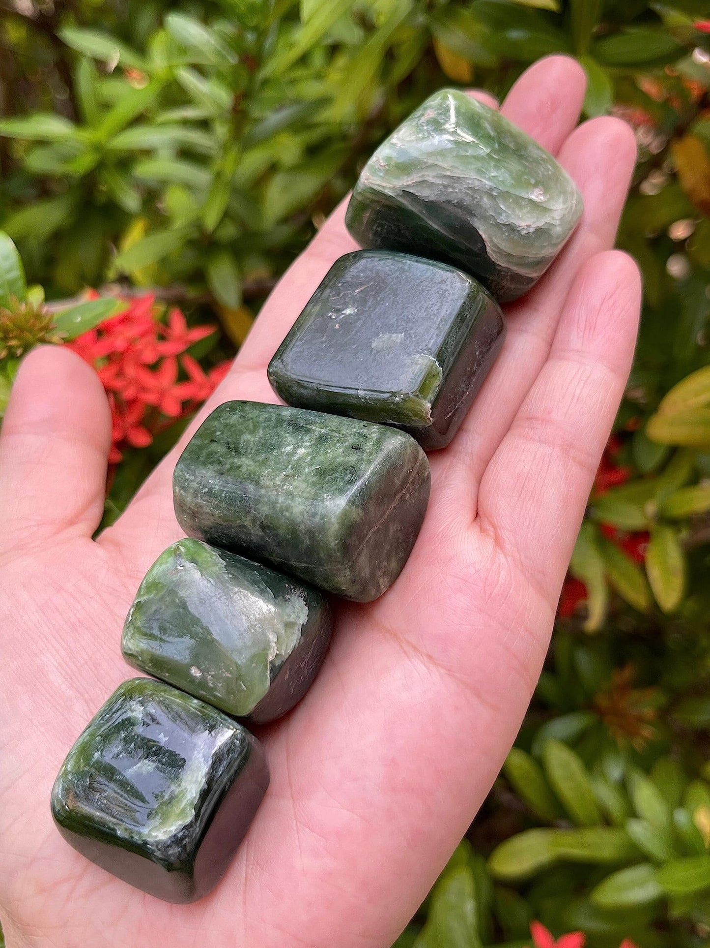 GAF TREASURES 5 Pcs Nephrite Jade Tumbled Stones, Polished Natural Nephrite Jade Gemstone, Nephrite Jade Healing Crystals (Nephrite Jade)