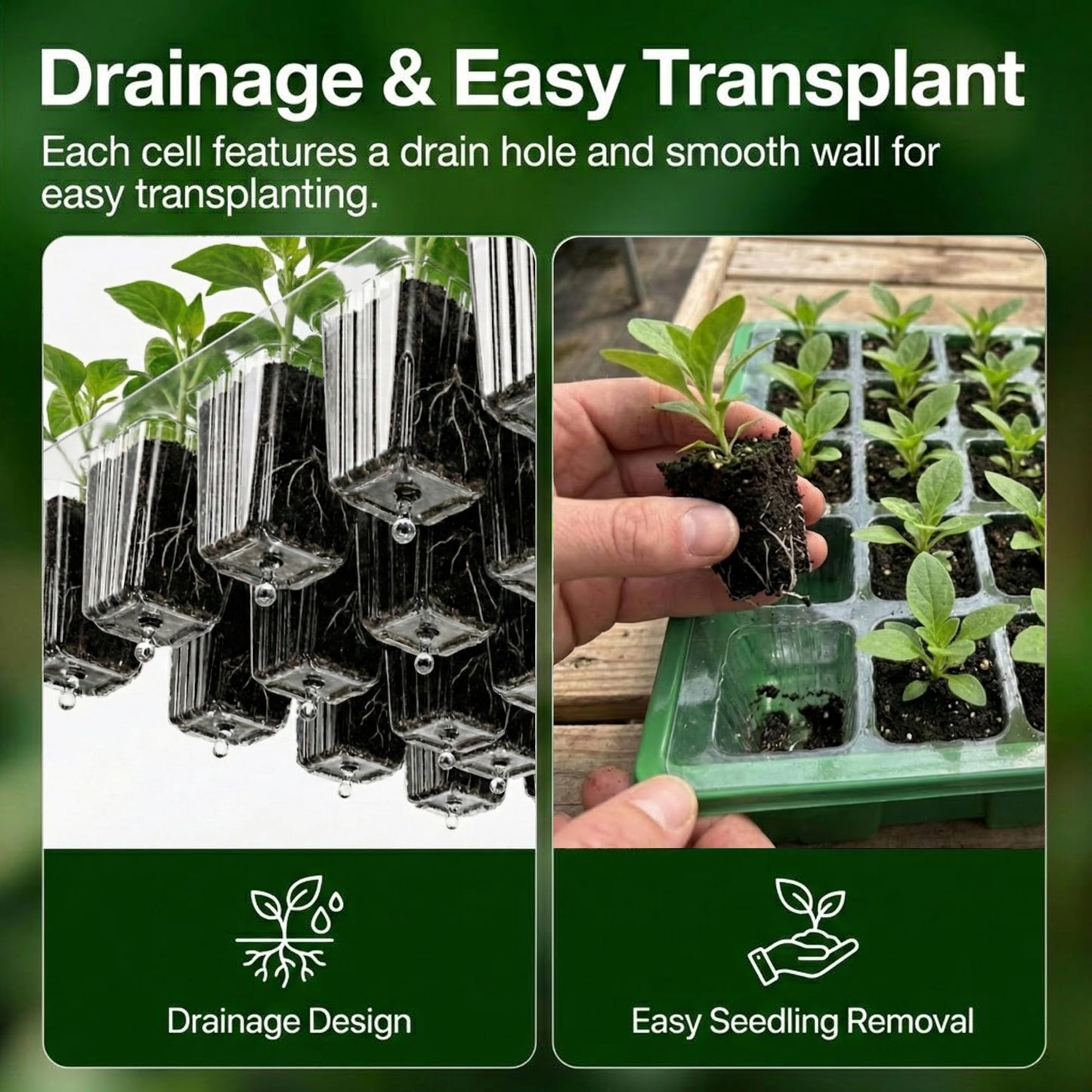 Gardzen 5 Pack BPA Free Seed Starter Tray Kit, 40 Cell Reusable Seedling Trays with Humidity Vented Domes and Base