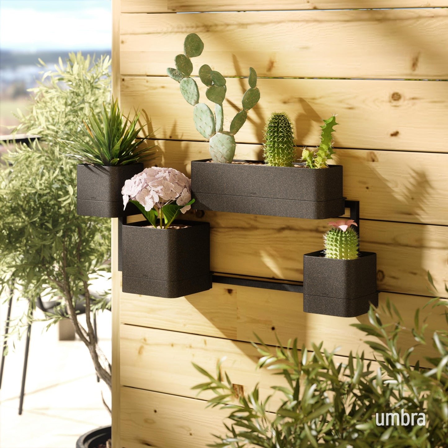 Umbra Cubiko Wall Planter with 4 Lightweight and Durable Pots (Black)