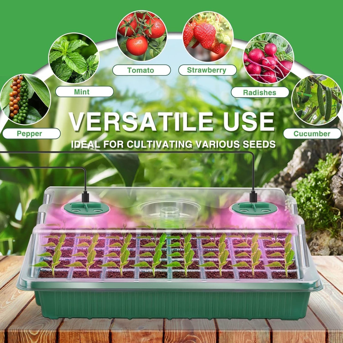 YAUNGEL Seed Starter Tray with Grow Light, Seed Starter Kit with Timing Controller Adjustable Brightness,80 Cells Seed Starter Tray for Indoor Planting with Humidity Domes Heightened Lids 2 Pack
