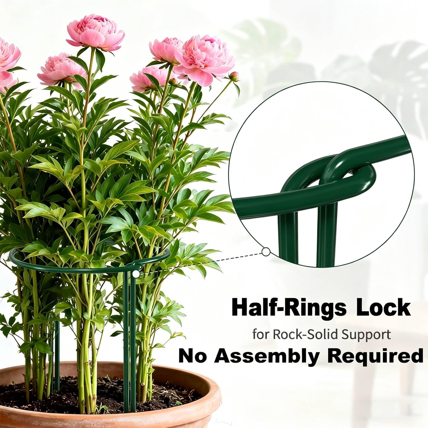 AMAGABELI GARDEN & HOME 6 Pack Peony Cage Plant Support Stakes 10" W x 16" H Heavy Duty Ring Metal Garden Support Structures Plant Cage with Ties for Indoor Flower Outdoor Tomato Hydrangea Monstera