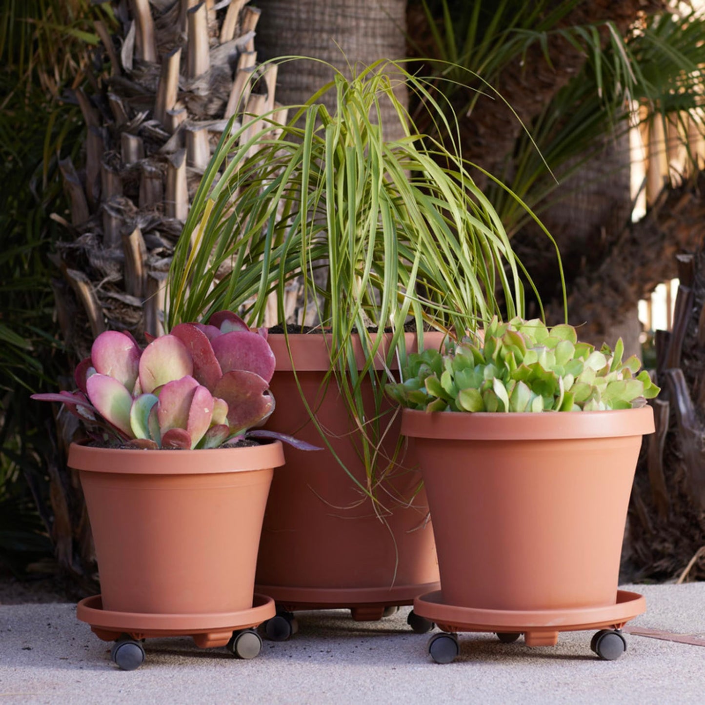 Bloem 14" Terra Cotta Round Planter Pot Caddy with Wheels, 100lb Capacity