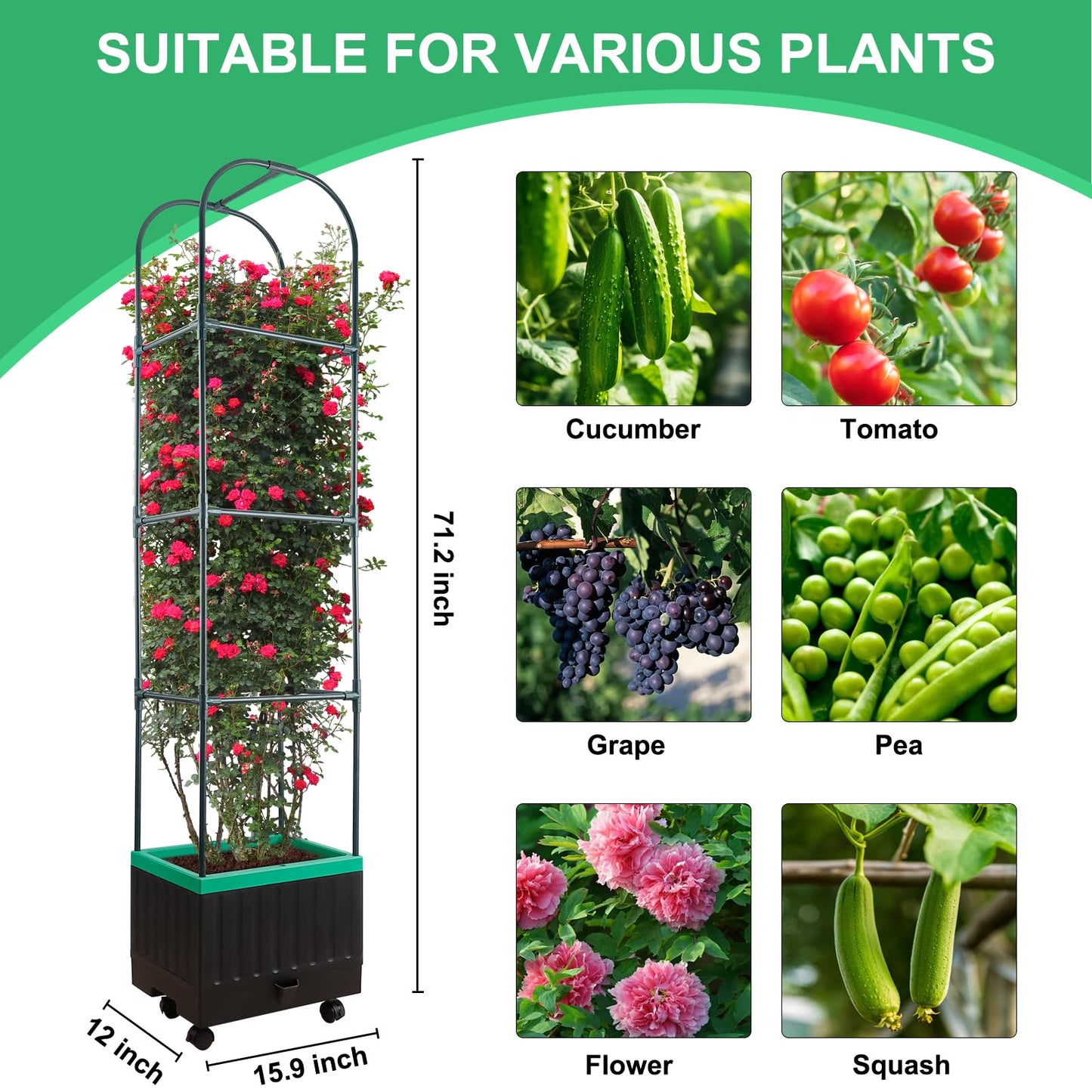 Yhtpouqe Raised Garden Bed with Self Watering Garden Pots, Planter Box with Trellis for Climbing Plants Vegetable Vine Flowers, Tomato Cage Planter for Indoor Outdoor Yard Greenhouse Use