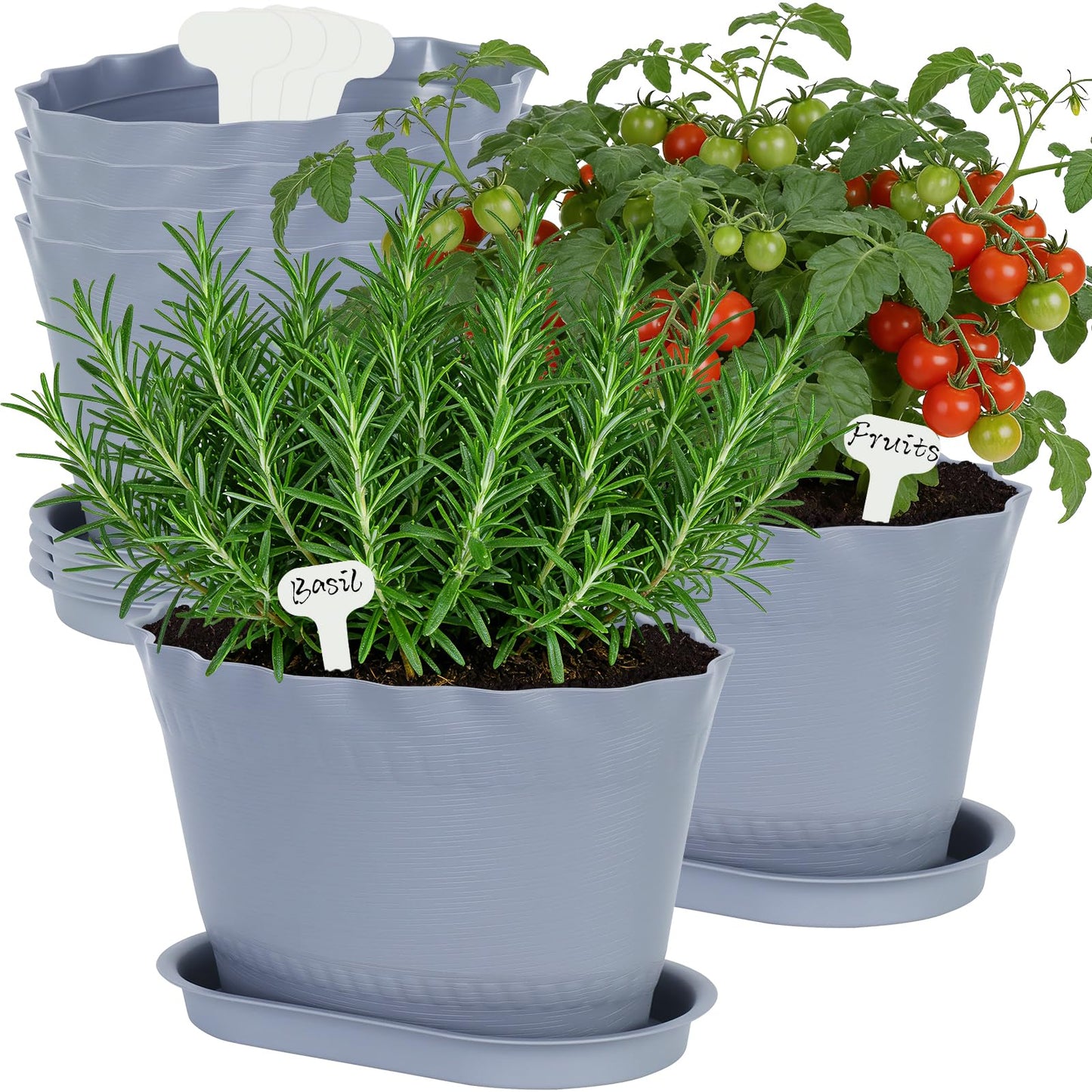 Oliz Herb Planter Pots 6 Pcs, Window Box Planter Flower Plants Pots for Succulent Cactus Flower with Trays, for Home Garden Kitchen Decor (Grey)