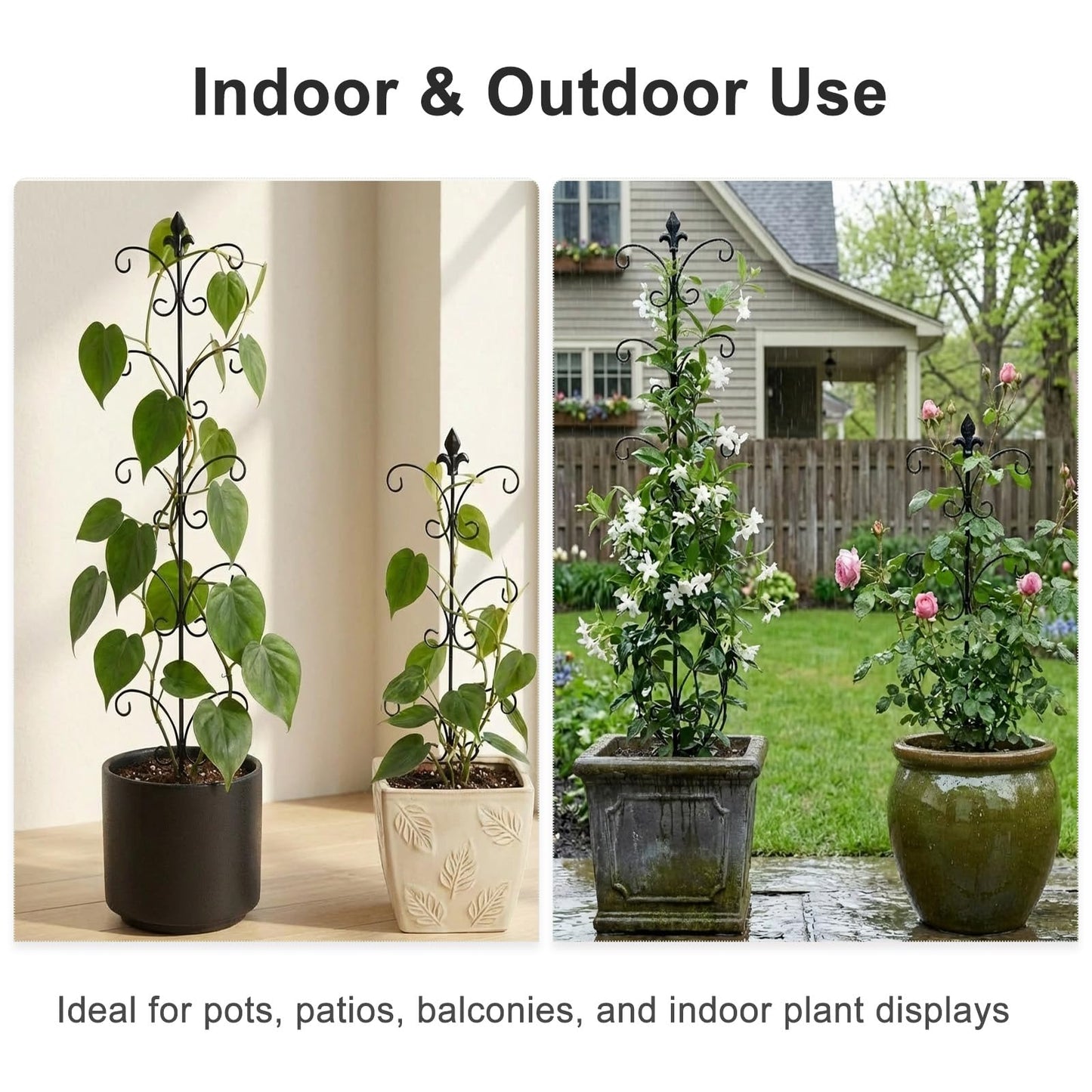 Metal Monstera Plant Support 2-Pack, Adjustable Height Steel Plant Trellis for Pothos, Vining & Climbing Potted Plants, Indoor & Outdoor, Sturdy Rotatable Plant Stakes with Rounded Ends, 31" & 46"