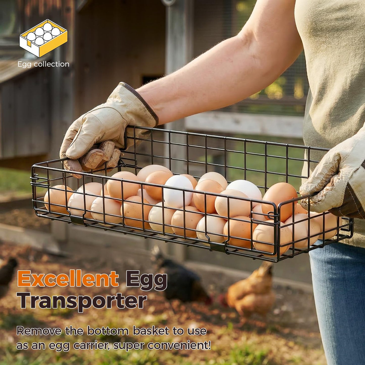 Sevenblue Upgraded Egg Holder Countertop with Removable 5 Dividers & Date Plate, 3 Tier Pull Out Large Egg Basket for Gathering Fresh Eggs, Kitchen Organizer, The Size - 16.7“x16.6”x11.3"