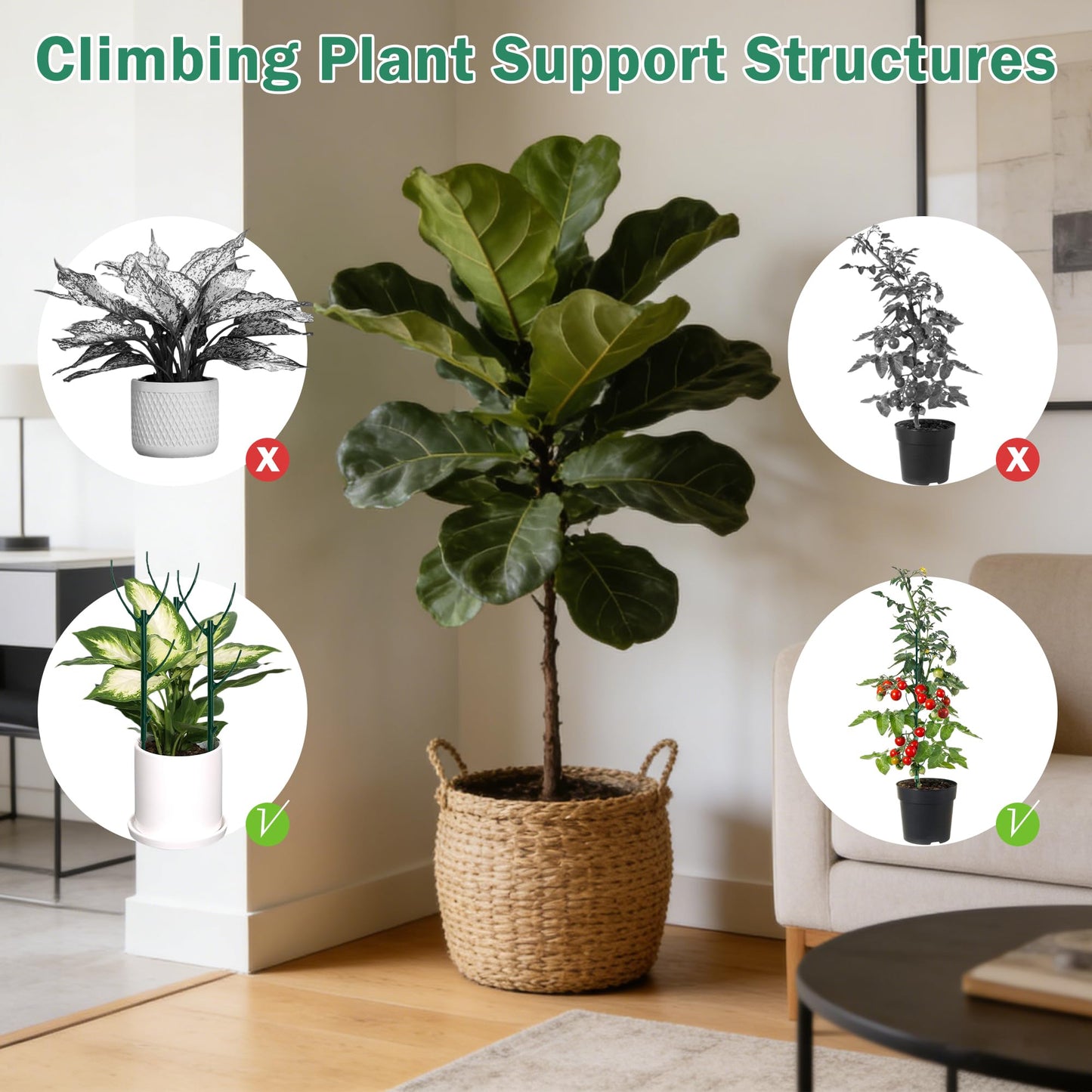 10 Pack Stackable Monstera Plant Support Stakes, Half Round Climbing Plant Pole Sticks Structures for Indoor/Outdoor Plants, Garden Accessories for Potted, Pothos, Philodendron & Vine Plants