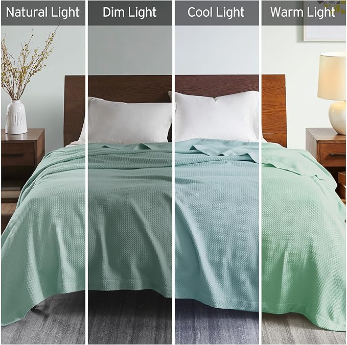 Madison Park Soft Certified 100% Egyptian Cotton Breathable Cozy Blanket, Premium Waffle Knit Classic Design, Luxury All Season Lightweight Cover for Bed, Couch and Sofa, Seafoam Full/Queen(90"x90")