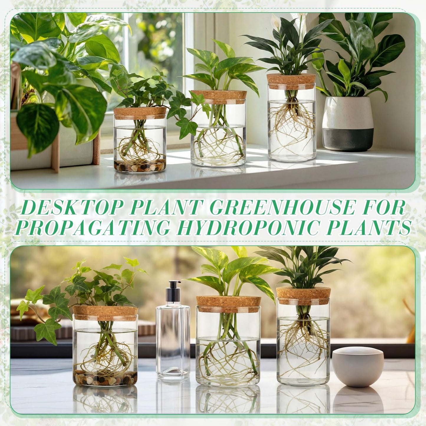 Ferrochef 6 Pcs Glass Plant Propagation Stations (2 Large + 2 Medium + 2 Small) Hydroponic Flower Vases Desktop Plant Terrarium Jar for Cuttings, for Living Room, Bedroom, Home Decoration