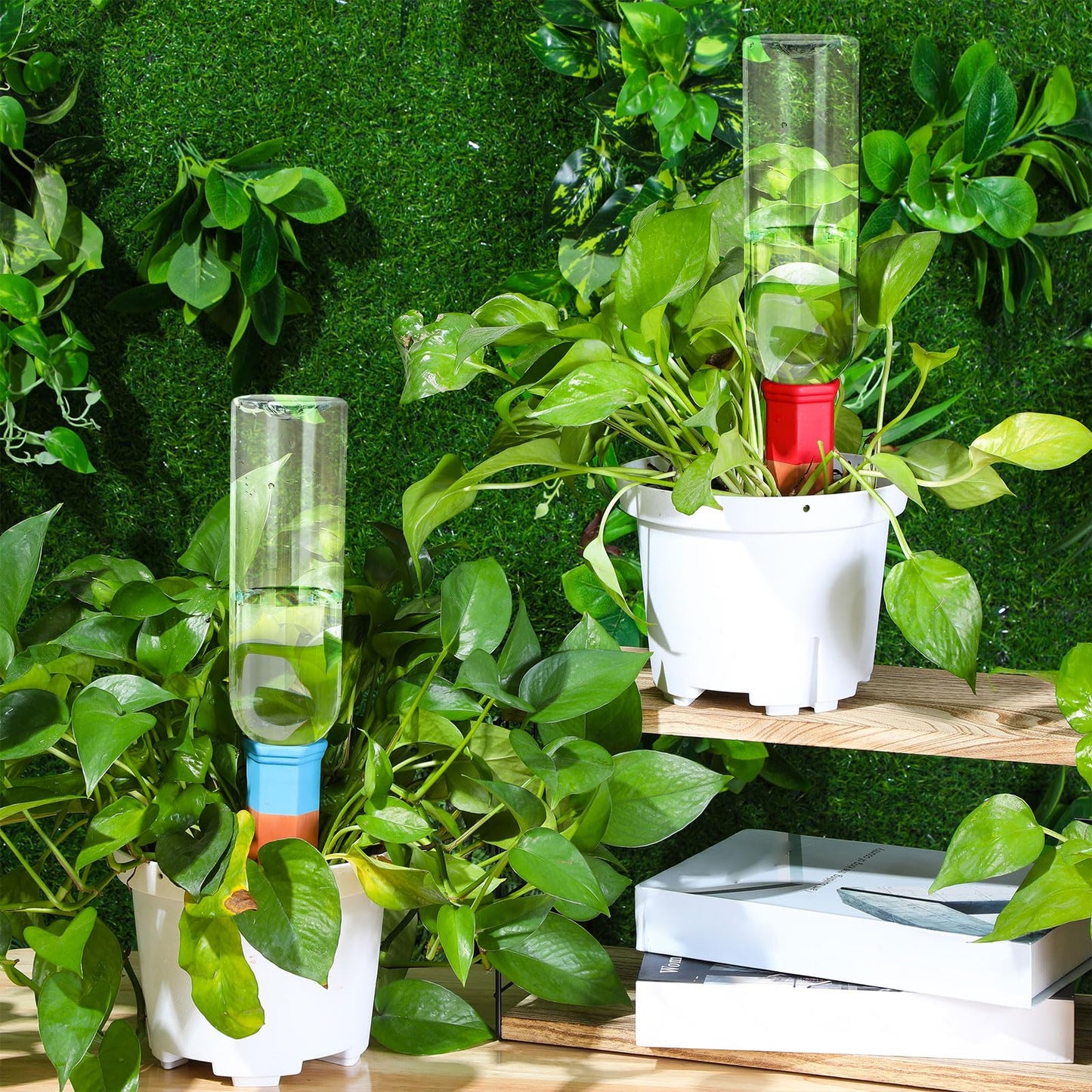 SiliFine 6 Sets Plant Watering Devices Include Terracotta Self Watering Spikes and 26 oz Plastic Bottles, Slow Release Vacation Insert Automatic Plant Waterer Device (Clear and Mixed Color)