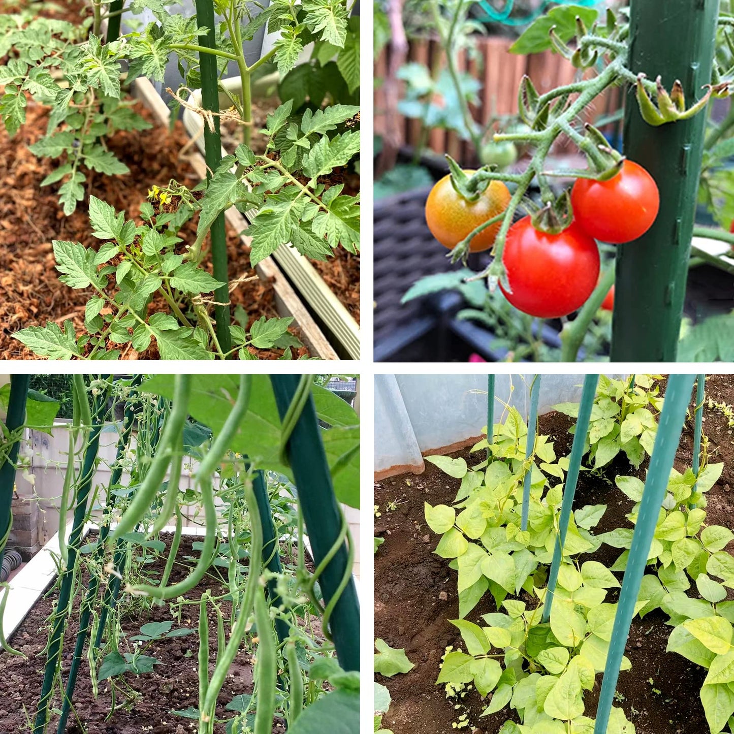 NANOPRETTY Garden Stakes 4FT Tomato Stakes for Outdoor Plant Support, 0.43 inch Diameter Plant Stake Sticks for Beans Potted Climbing Plants Gardening Supplies 20 Pack