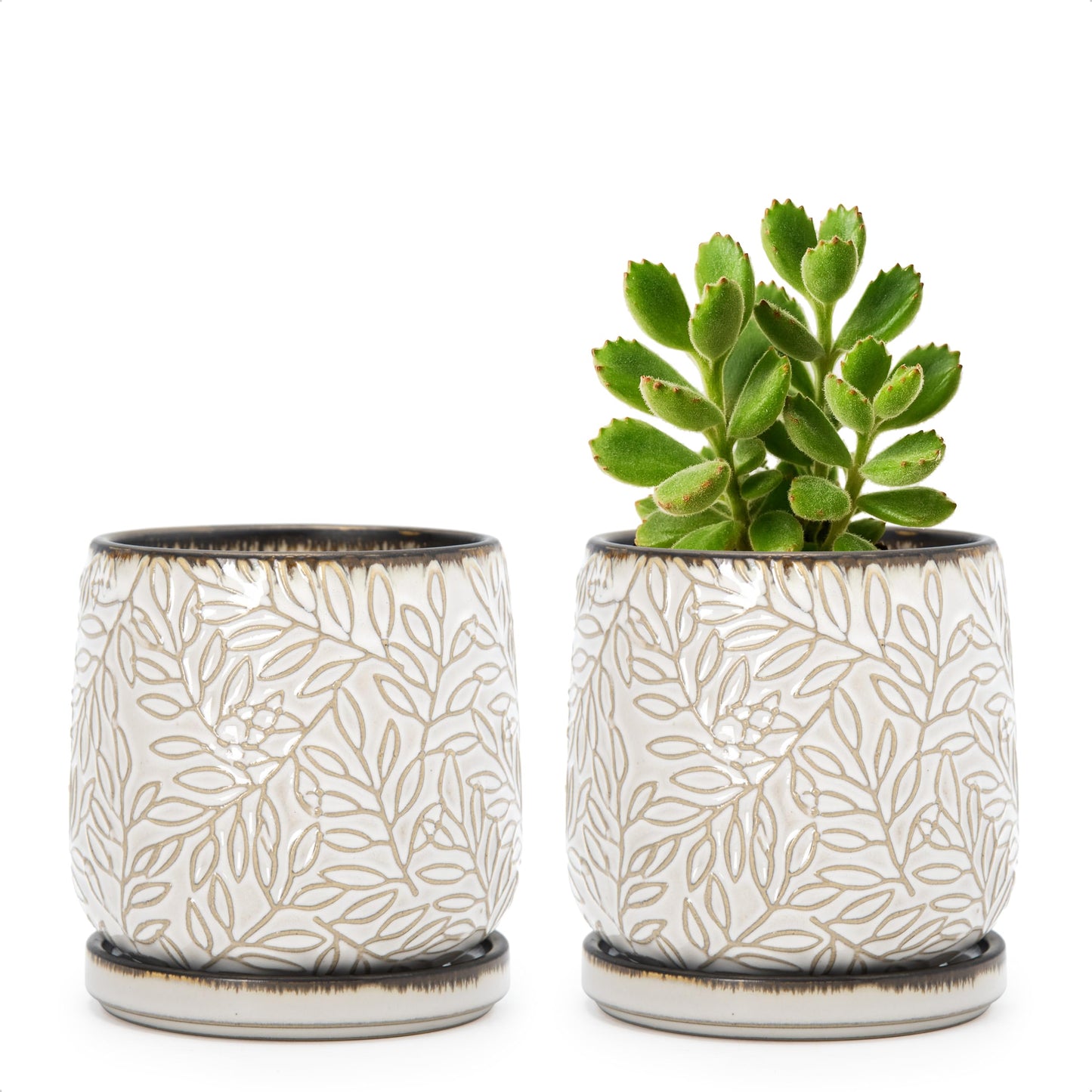 D'vine Dev 4 Inch Embossed Leaves Stoneware Planter Pot with Drainage Hole and Saucer, Smoked White, Set of 2, 27-F-Z-1