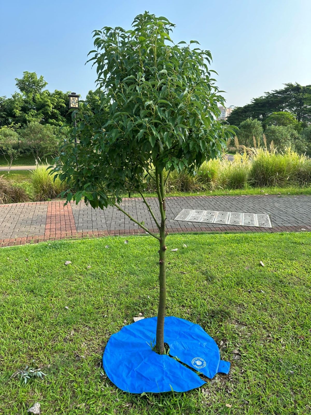 12+ Hours Slow Release Ring-Style Tree Watering Bag - 15 Gallon Watering Ring for Trees, Discipline Essentials (2 Pack, Blue/Yellow)