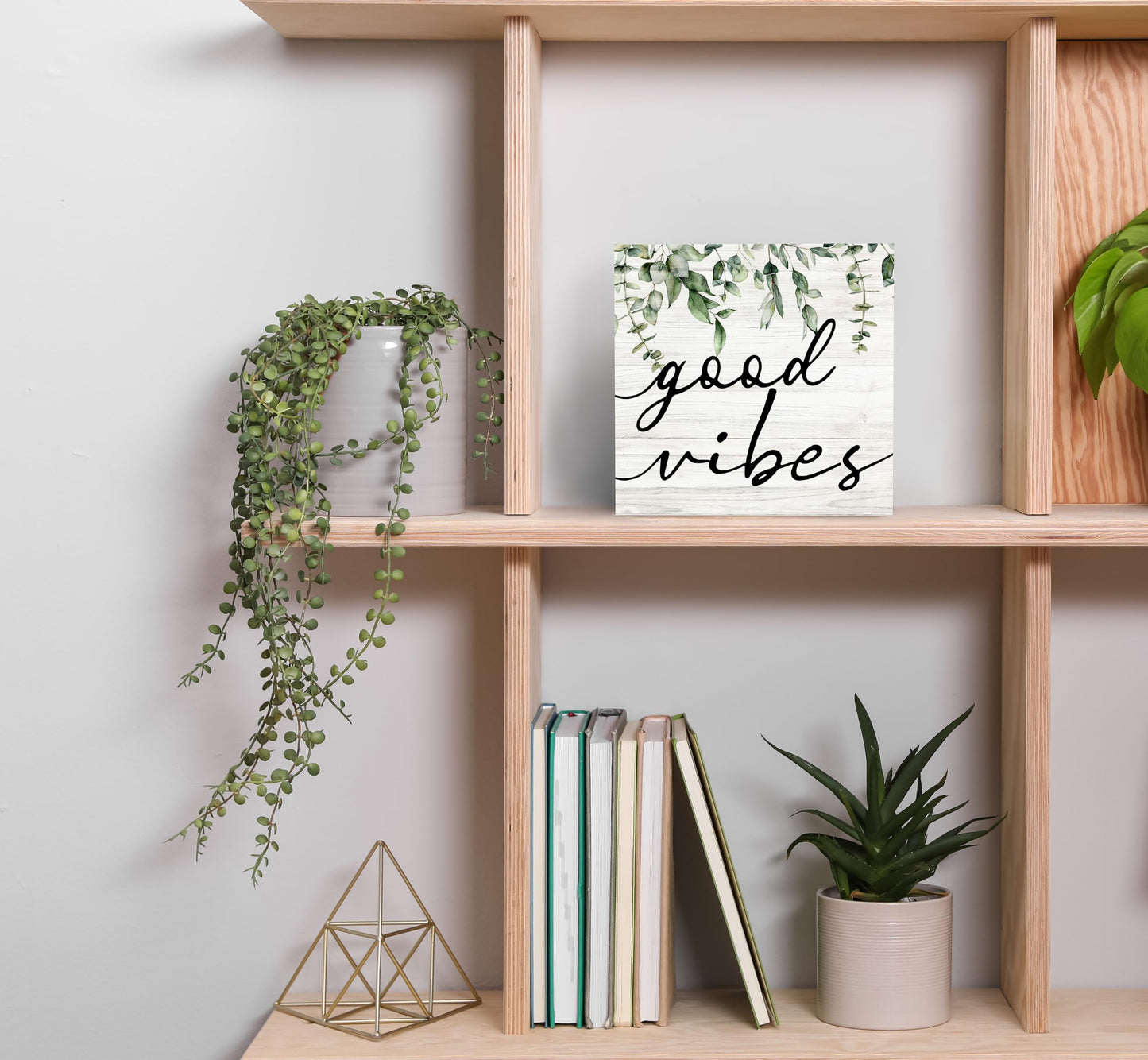 SRADMO Botanical Eucalyptus Leaves Wood Box Sign Desk Decor, Rustic Eucalyptus Leaves Wooden Block Box Sign Decoration For Home Shelf Table Office Decor 6x6 inches
