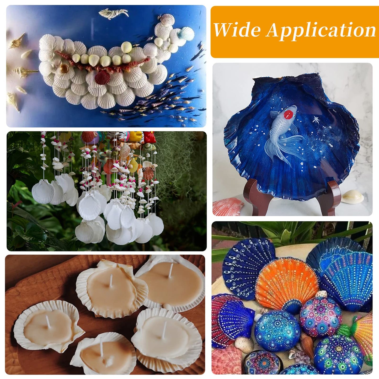 WeDoSoy 30PCS Natural Scallop Shells White Sea Shells for Decorating from Sea Beach Real Seashells for DIY Craft Painting Ocean Themed Party Wedding 2''-3''