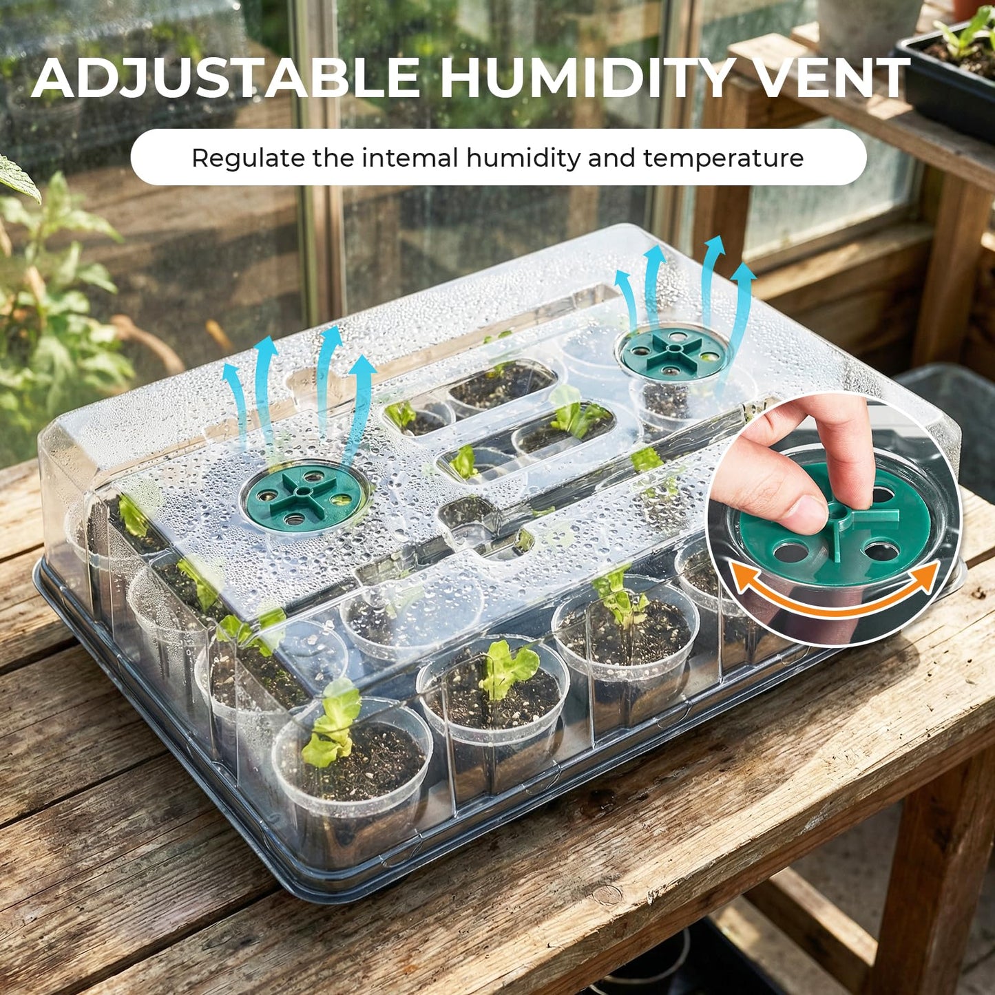 homenote 3 Inch Seed Starter Trays 2 Pack with Humidity Dome, 20-Cell Seedling Starter Trays,Plant Starter Germination Trays for Pot Seedlings for Indoor Outdoor with 40 Pcs 3" Nursery Pots