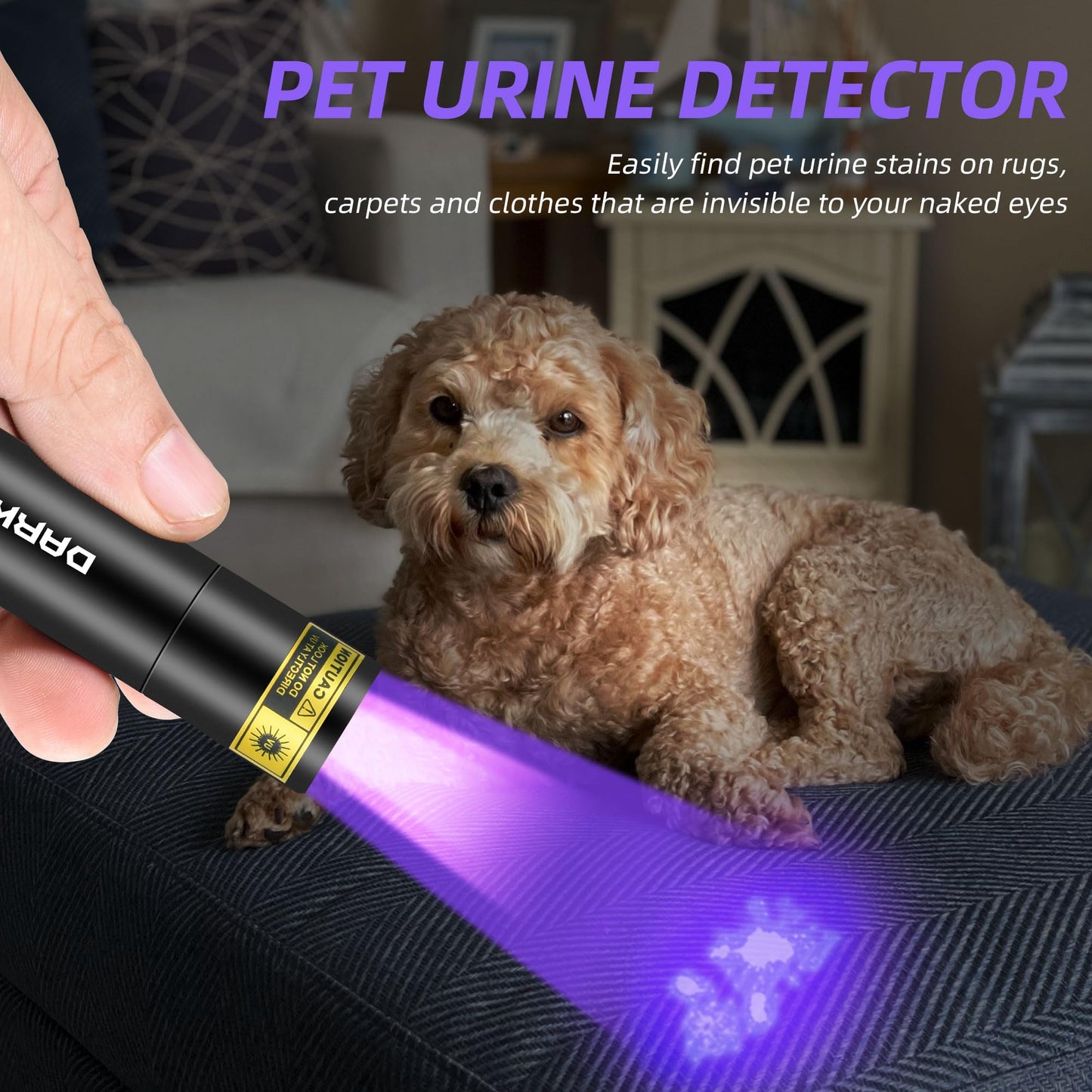 DARKBEAM Flashlight UV Black Light 395 NM, Mini but Powerful USB- C LED Rechargeable Woods Lamp, Ultraviolet Flashlights for Pet Urine, Stains Detection, Resin Curing, Fluorescent Agent, 2 Pack