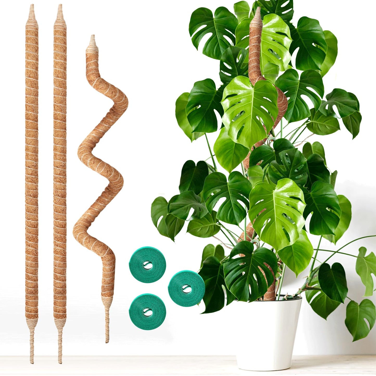 Vanut 3-Pack 60in Tall Moss Pole for Monstera, Bendable & Sturdy Sticks for Plants Support, Pothos Vines, Philodendron, Fishbone Cactus & Indoor Tropical Houseplants, Made for Coco Coir
