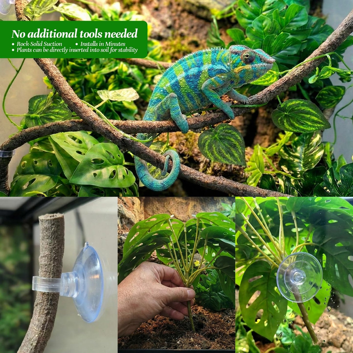 5 Pcs Reptile Plants & Habitat Decor Kit - 3 Artificial Plants & Large 5ft Jungle Vine Branch, Amphibian Habitat Hideout Tank Decorations fit Crested Gecko Leopard Lizard Chameleon Ball Python Frog