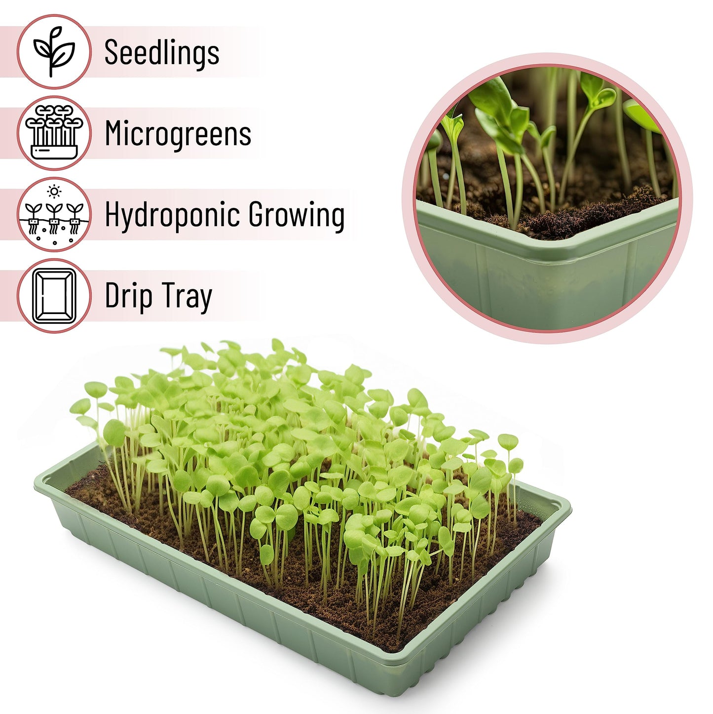 Mr. Pen- Seed Starter Trays, 10 Pack, 17"x10"x2.4", Durable Plastic Growing Trays, Stackable and Reusable Seedling Starter Kits for Indoor, Outdoor, Greenhouse Gardening, Planting, Hydroponic Systems