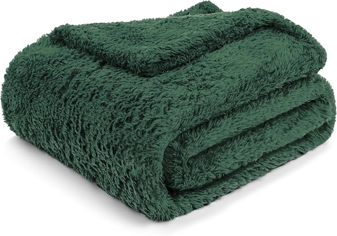PAVILIA Sherpa Throw Blanket for Couch Sofa, Emerald Green Fluffy Warm Plush Blanket for Twin Bed, Cozy Super Soft Lightweight Throw, Fuzzy Decorative Blanket, All Season Home, 60x80