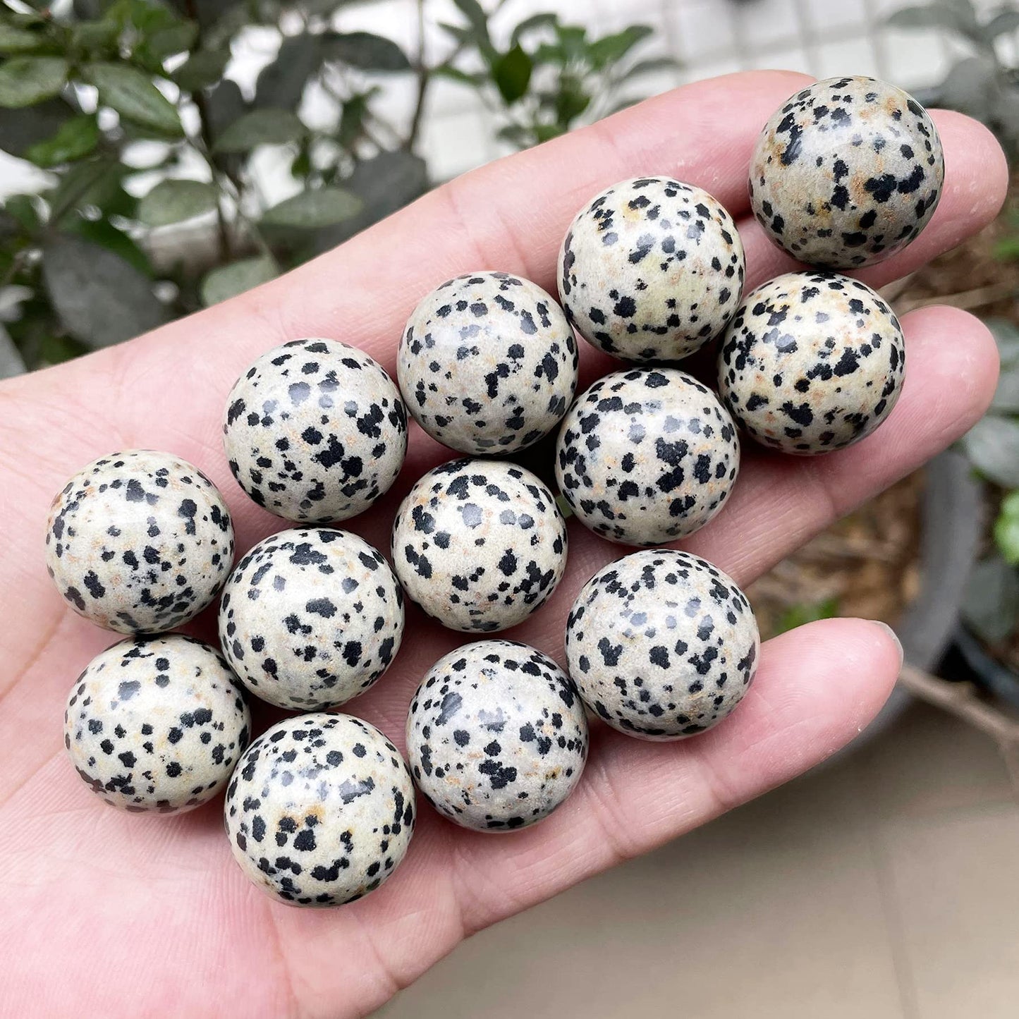 Fekuar 5 Pcs Dalmation Jasper Crystal Sphere Ball Set, Polished Healing Energy Mineral Gemstone Balls for Reiki Chakra Decoration Fengshui 20mm
