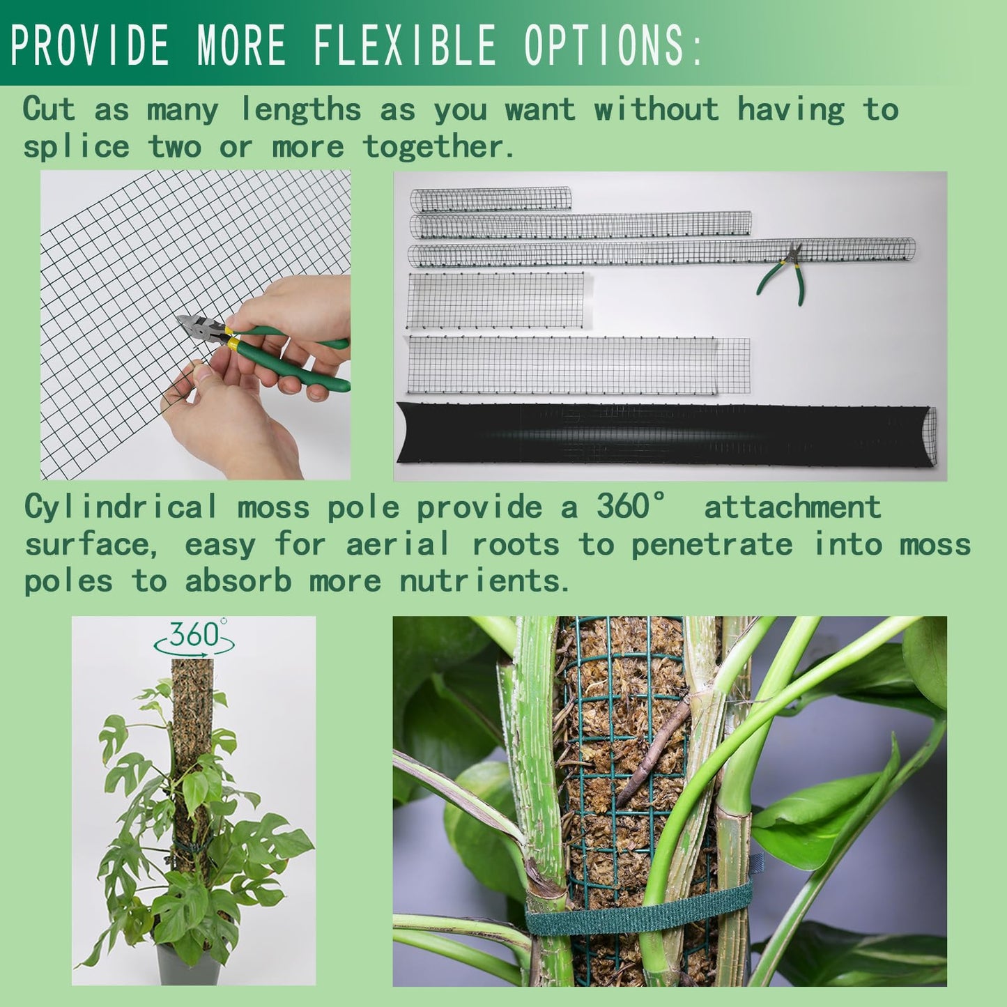 Metal Moss Poles for Climbing Plants, D-Shape Sphagnum Moss Pole Monstera Plant Support for Climbing Plants, DIY Plant Stakes Work with Sphagnum Moss (4ft D-Shaped & 6ft Round)