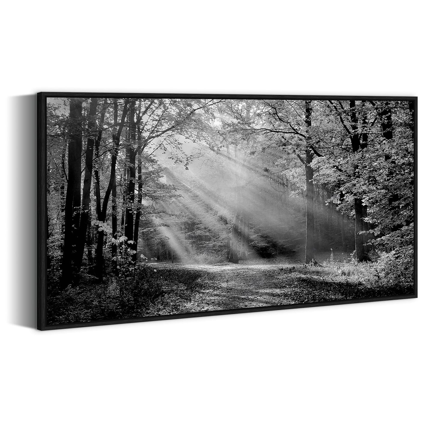 Black White Forest Wall Art - Sunset Landscape Framed Canvas Picture Woodland Painting Nature Tree Scenery Artwork Prints for Bedroom Living Room