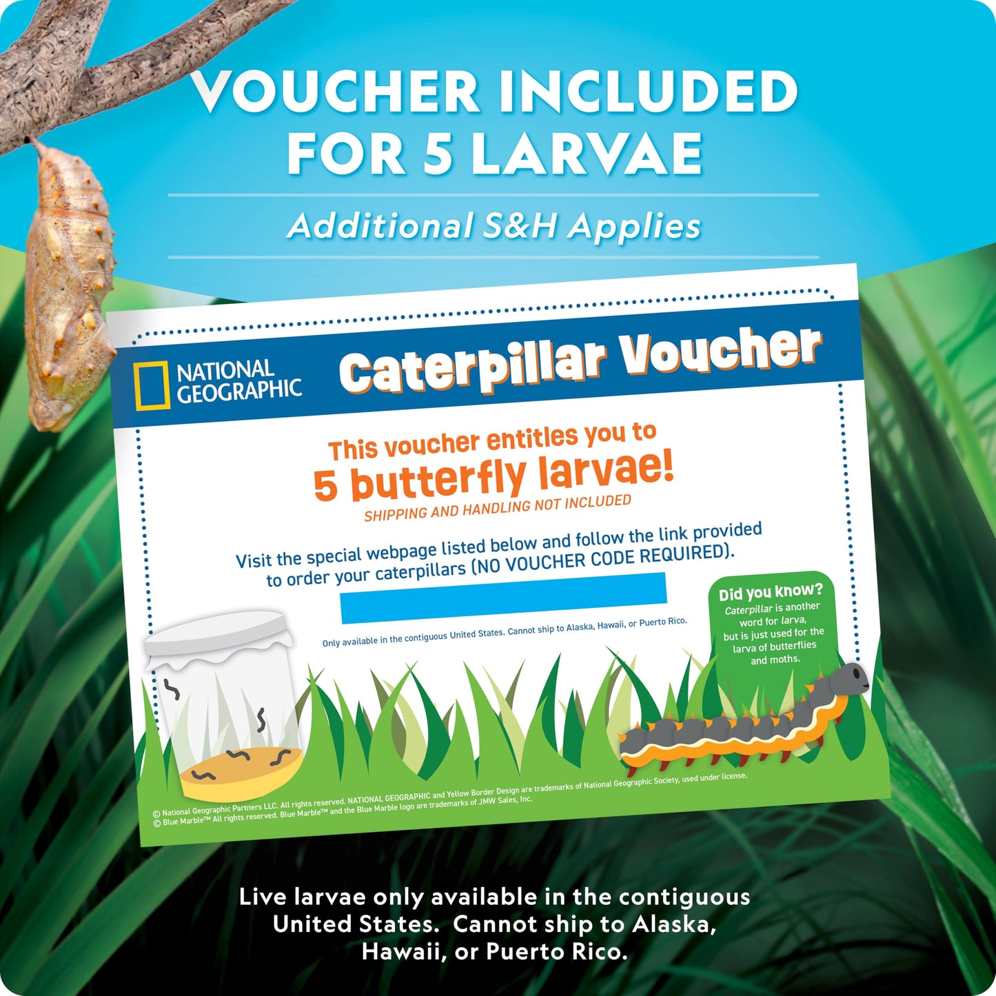 National Geographic Butterfly Growing & Bug Catcher Kit - Butterfly Habitat Kit with Voucher for 5 Caterpillars (S&H Not Included) & Bug Habitat with Magnified Viewers, Bug Catcher & More