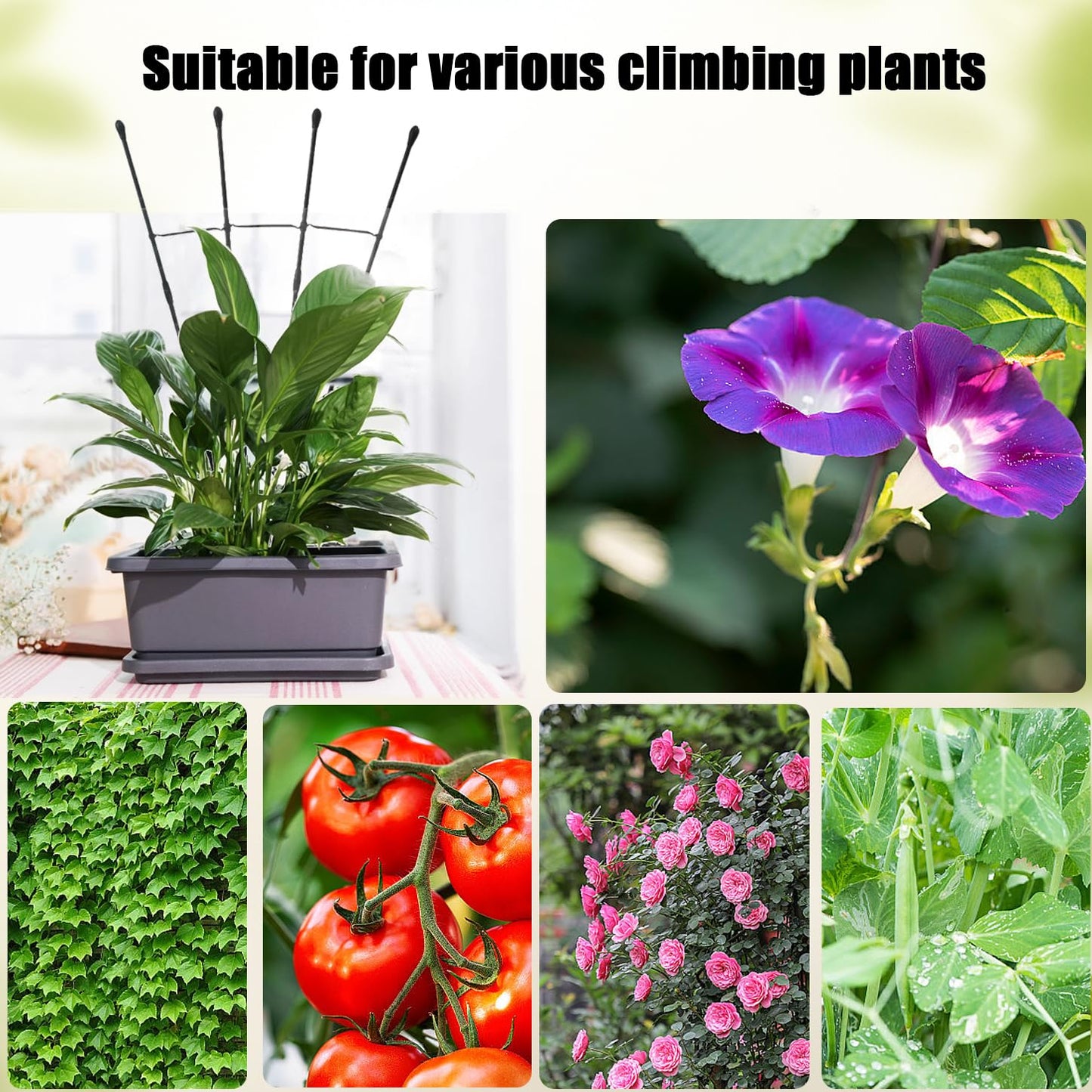 Garden Trellis for Climbing Plants Outdoor & Indoor, 47in Plant Trellis for Vines, Flowers,Tomato cage 3 Shapes Rustproof Plant Support Trellis for Potted Plants,Rose, Cucumber, Pea, Tomato, 2Pack