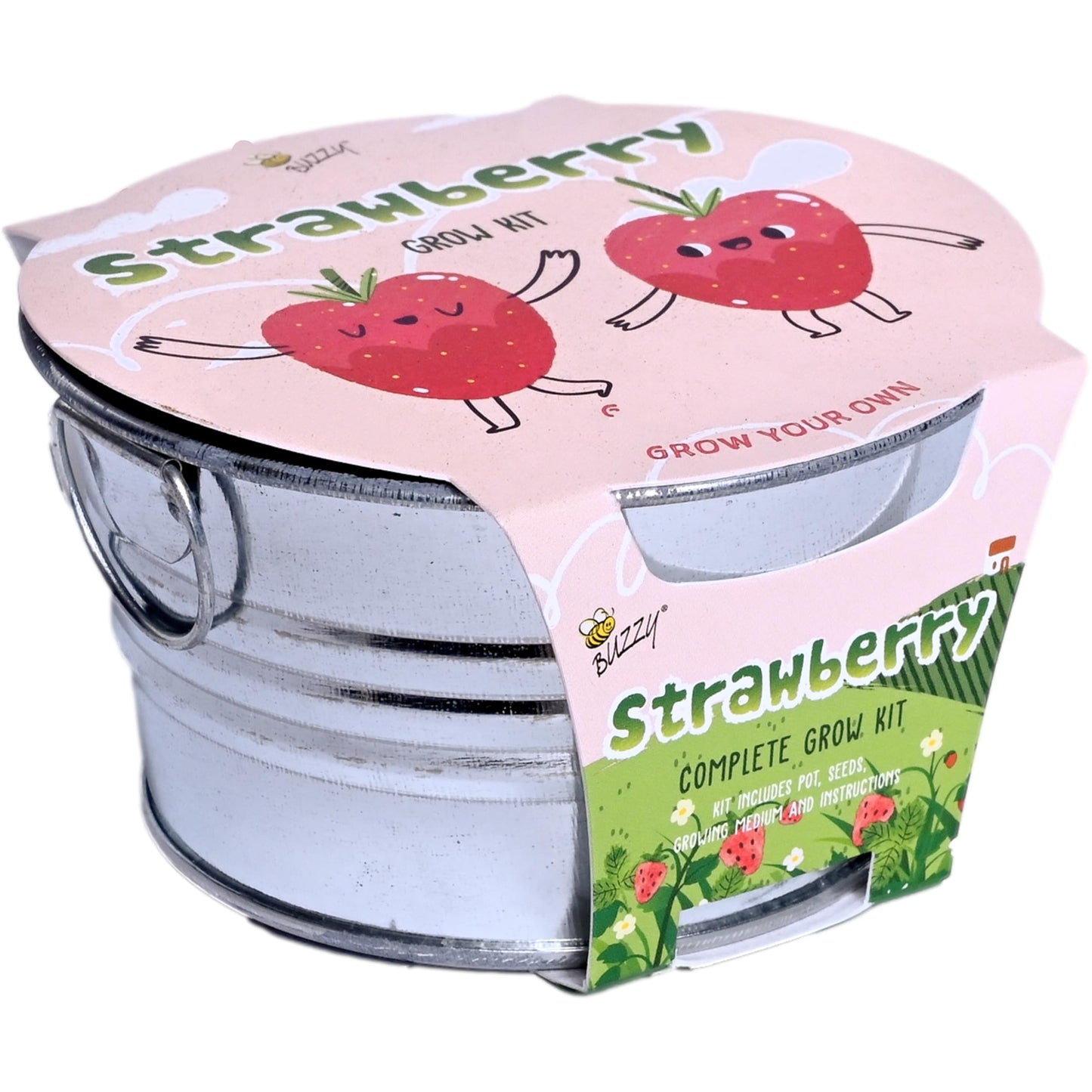 BUZZY Seeds Mini Basin Gardening Kit with Strawberry Seeds for Planting, Flowering Fruit Starter Set, Indoor Plants, DIY Plant Project, Party Favor