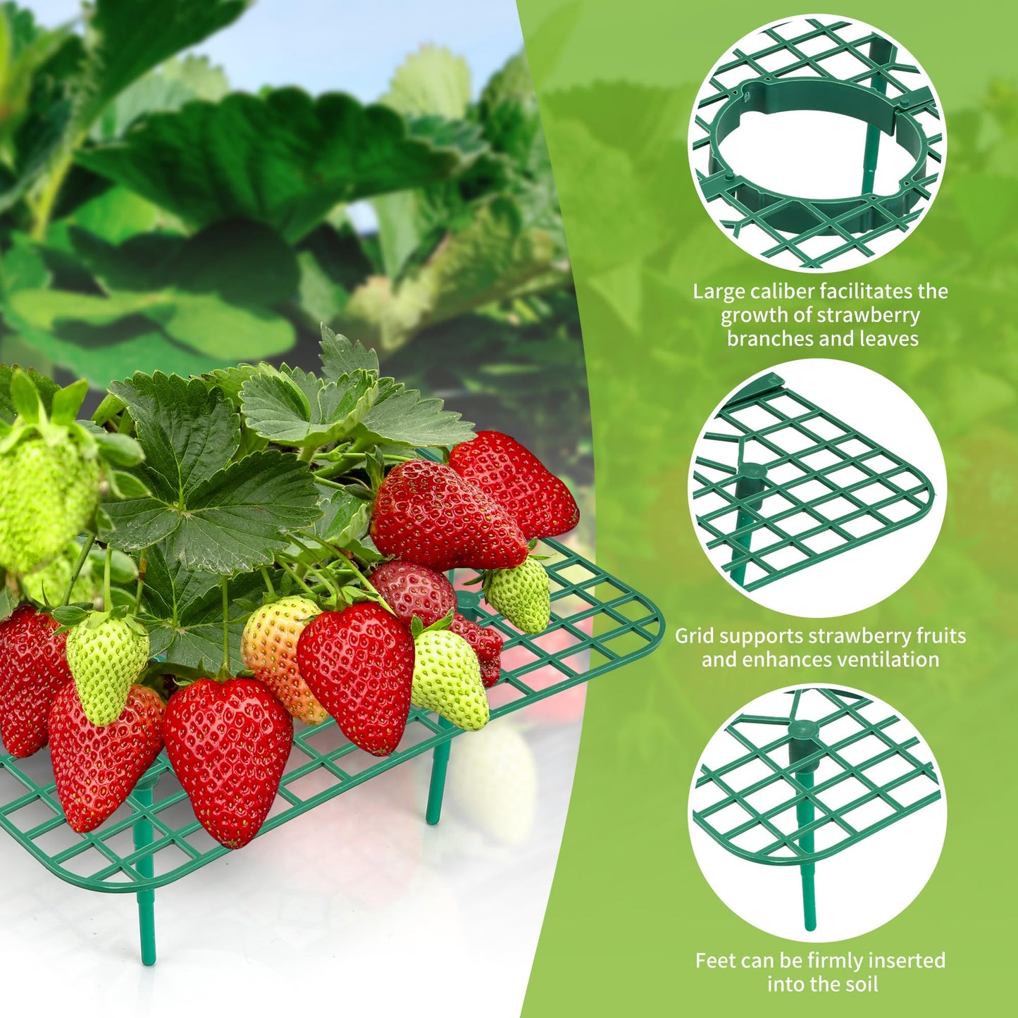 GouZaak 16 Pack Square Strawberry Supports Stand for Garden Strawberry Growing Racks for Keeping Garden Strawberry Clean (Green)