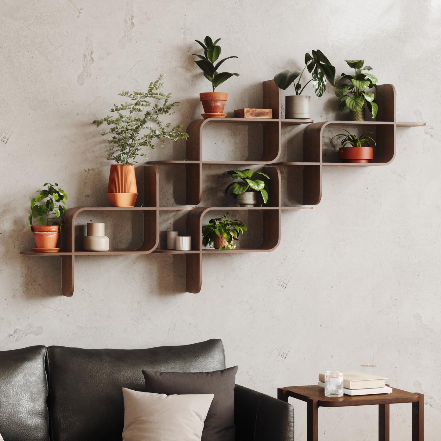 Umbra Montage Floating Wall Shelf Display Case, Made of Natural Bent Wood, Light Walnut
