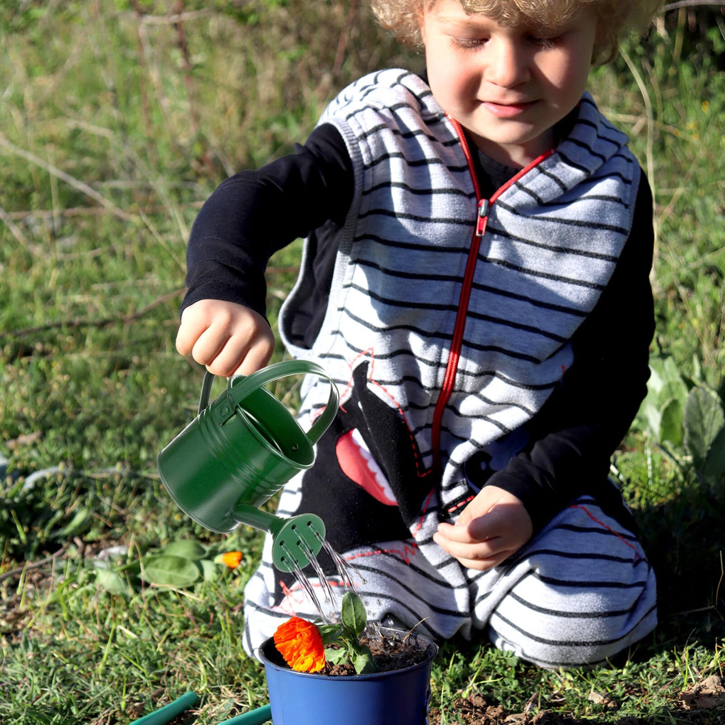 6PCS Kids Metal Watering Can Indoor Plants Small Watering Can for Indoor Plants Mini Gardening Tool Tiny Kettle for Gardening