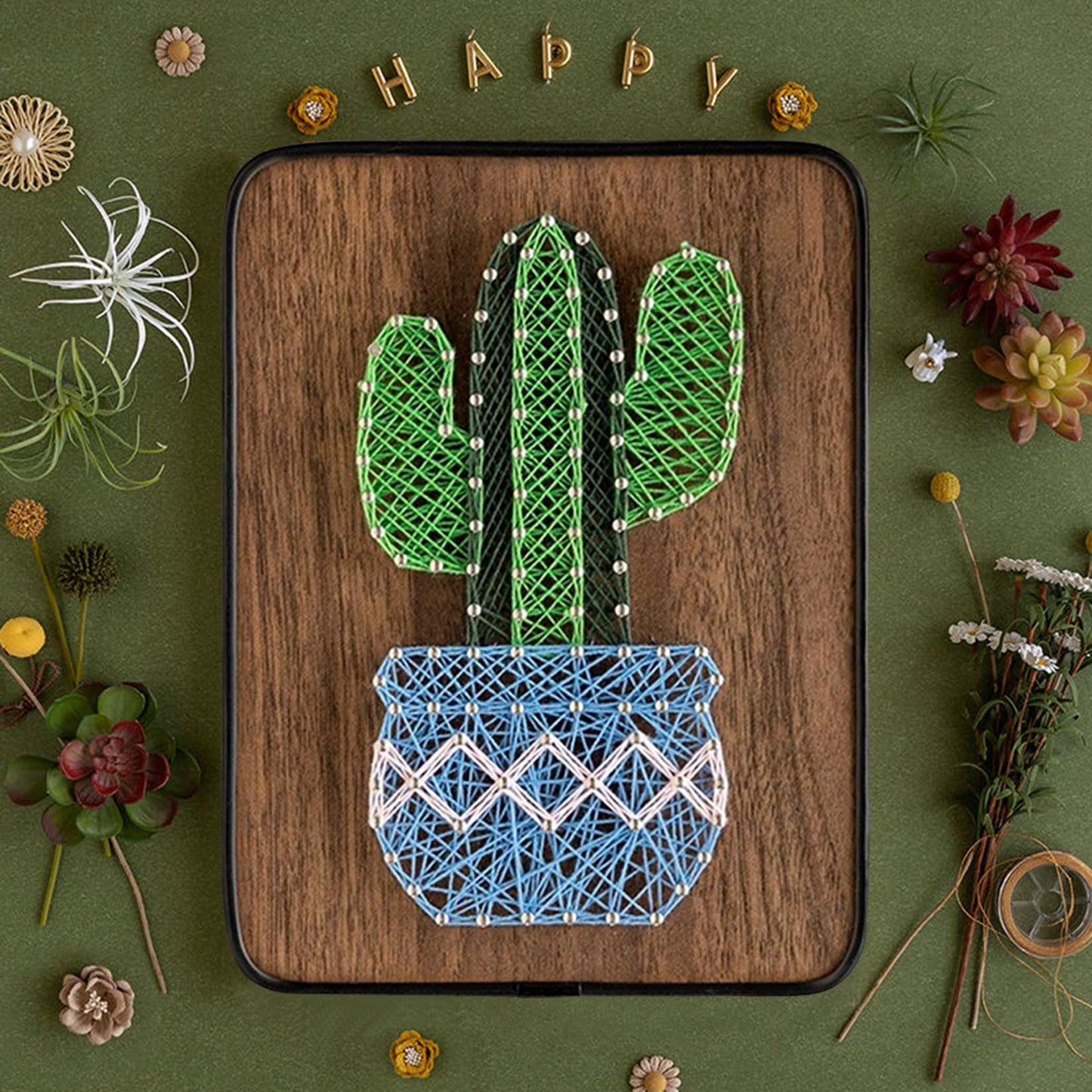 BAZIMA DIY String Art Kit for Beginner,Cactus String Art,DIY Cactus Potted Craft Kit,Unique Gift,Craft Kit for Holidays