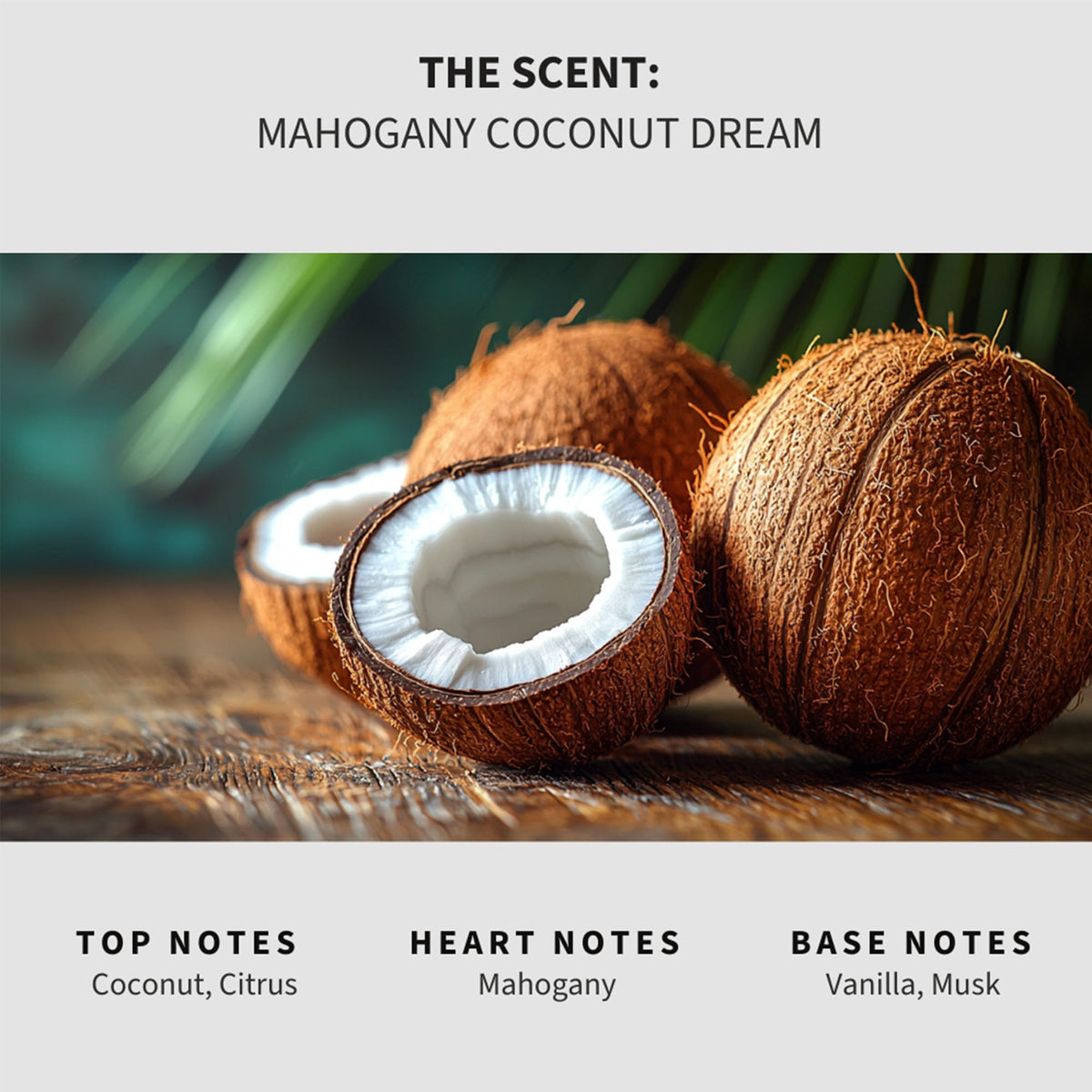 Mahogany Coconut Dream Carpet Deodorizer Powder (16 Ounce)