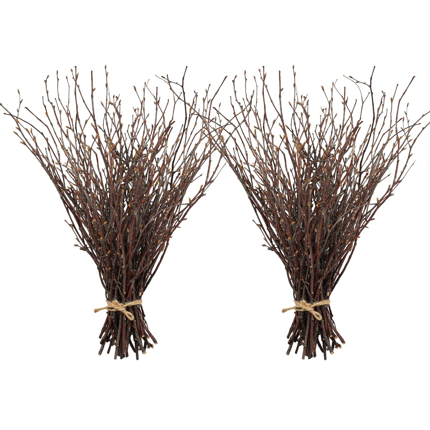 Uieke 100PCS Natural Dried Birch Twigs - 17 Inch Dried Plants Decorative Branches for DIY Crafts, Sticks for Vases Wedding Arrangements Home Wreath Decor