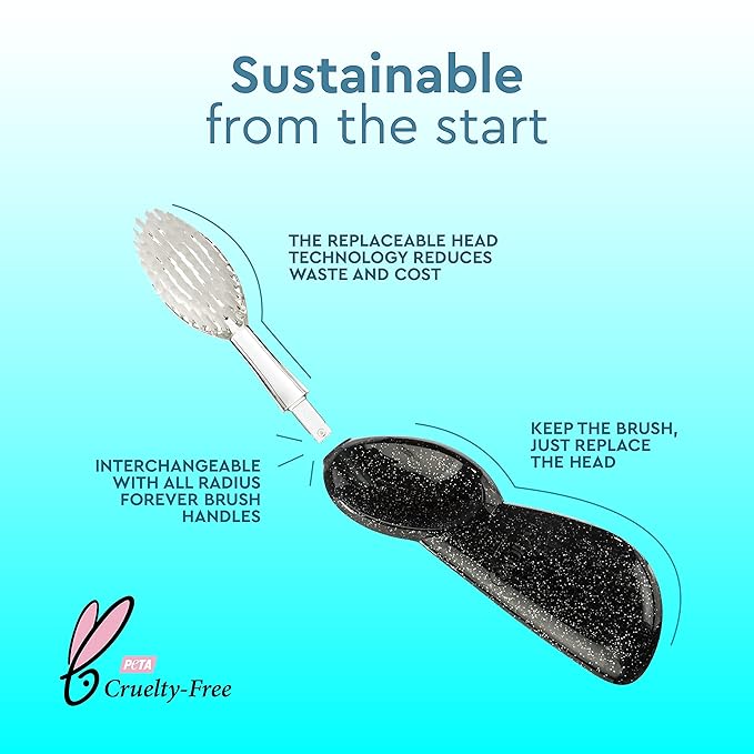 RADIUS Big Brush with Replaceable Head BPA Free & ADA Accepted Toothbrush Designed to Improve Gum Health & Reduce Gum Issues - Right Hand - Purple - Pack of 1