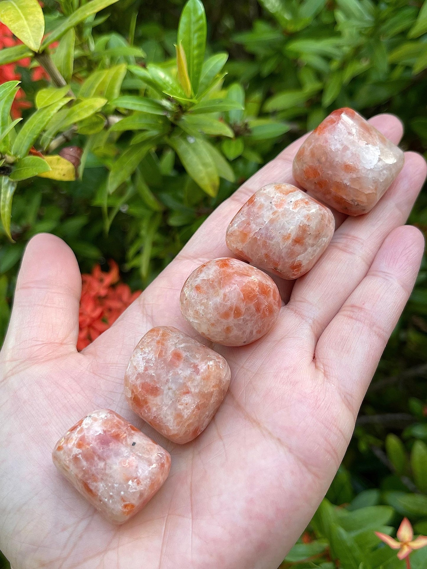 GAF TREASURES 5 Pcs Sunstone Tumbled Stones, Polished Sunstone Gemstone, Sunstone Healing Crystals (Sunstone)