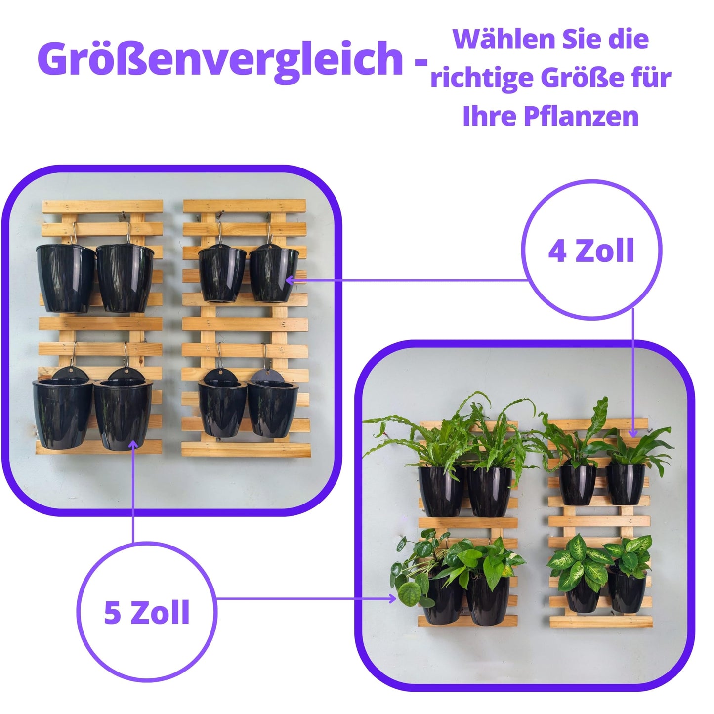 LaLaGreen Wall Planters for Indoor Plants - 10 Pack, 4 Inch Black Self Watering Pots Modern Indoor Hydroponic Vertical Live Garden Wall Mounted Hanging Plant Holder