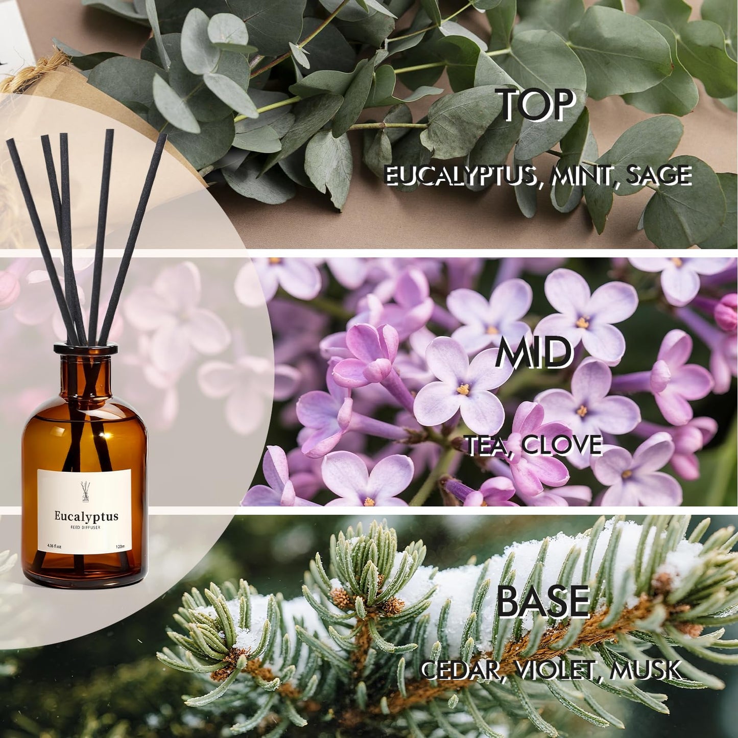 Reed Diffuser Set, 8.12 fl.oz Eucalyptus Scented Diffuser with Sticks, Up to 120 Days, Home Fragrance Reed Diffuser for Bathroom Shelf Decor & Room Freshener, 2 Pack