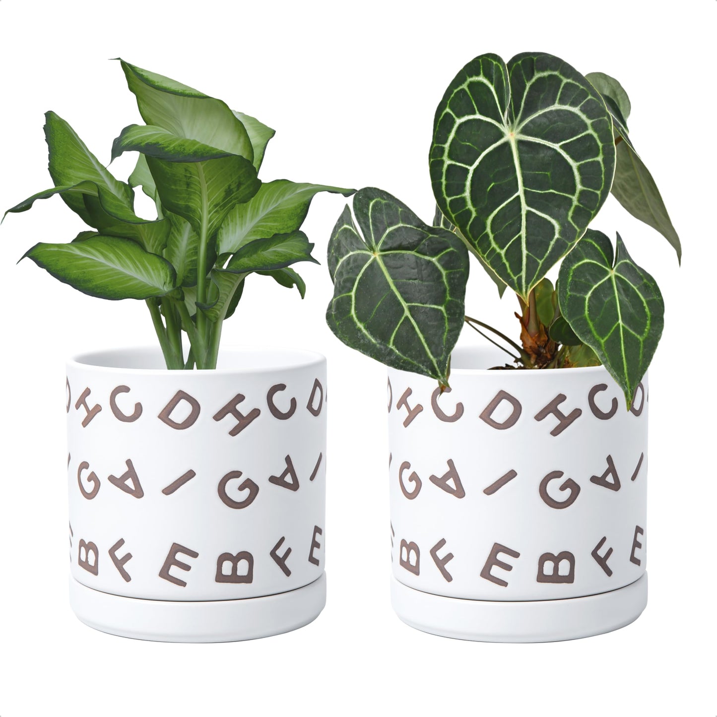 D'vine Dev Set of 2 Ceramic Planter Pots with Drainage Hole and Saucer, 6 Inch Plant Pots for Plants Indoor Houseplants, White, 99-Z-G-1-Y