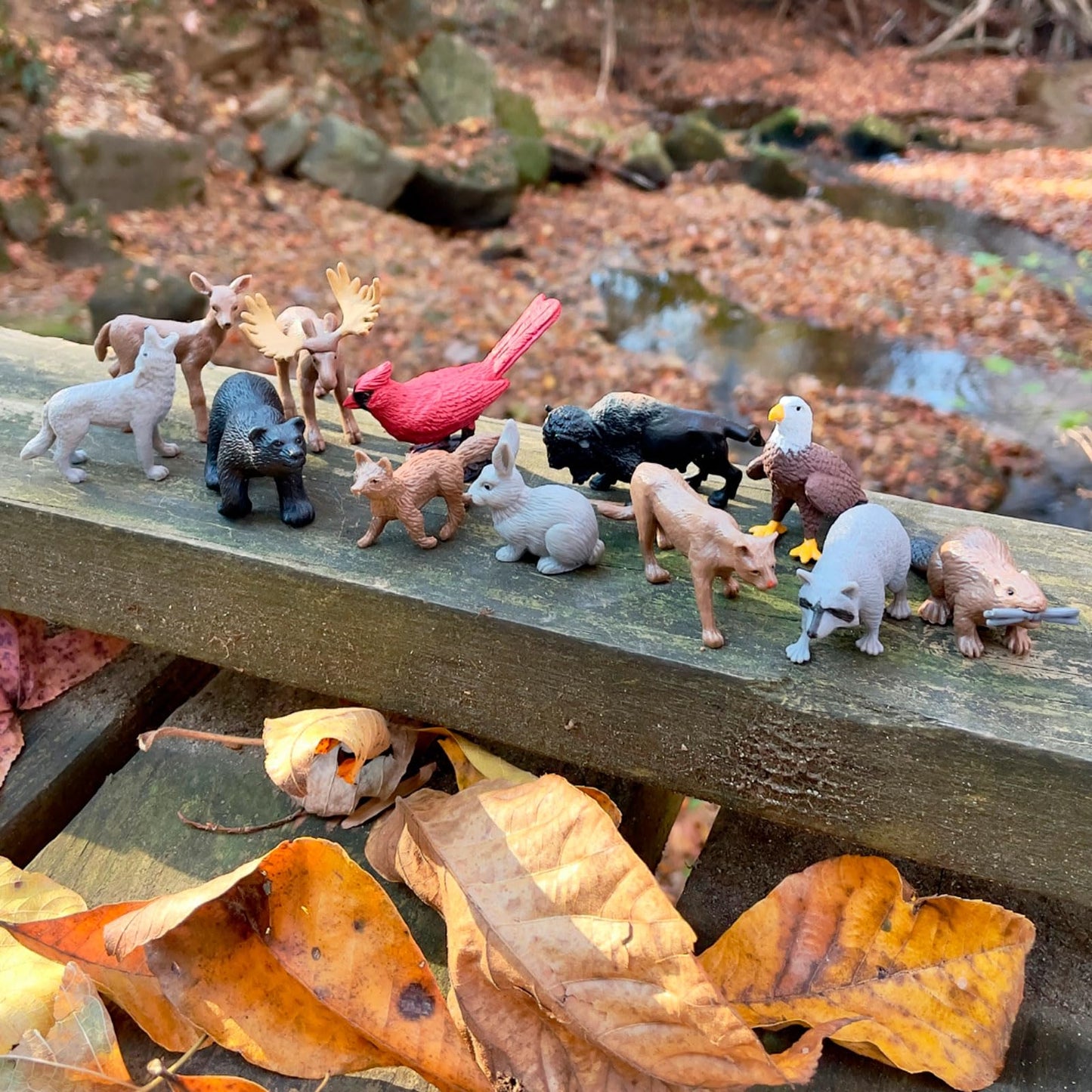 Safari Ltd Nature TOOB - 12 Mini Figurines with Rabbit, Beaver, Doe, Gray Wolf, Fox, Black Bear, Moose, Mountain Lion, Bald Eagle, and More - Educational Toy for Boys, Girls & Kids Ages 3+