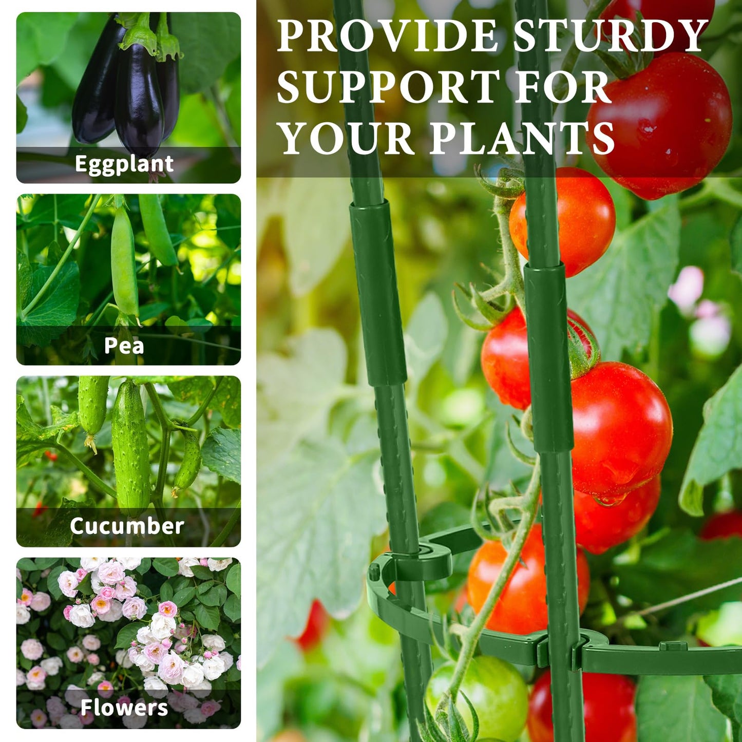 UJG 2-Pack 35 Inches Tomato Cages for Garden, Tomato Cage, Tomato Plant Support, Heavy-Duty Tomato Trellis with Height Adjustable Rings for Garden Climbing Plants with Twist Tie & Gloves