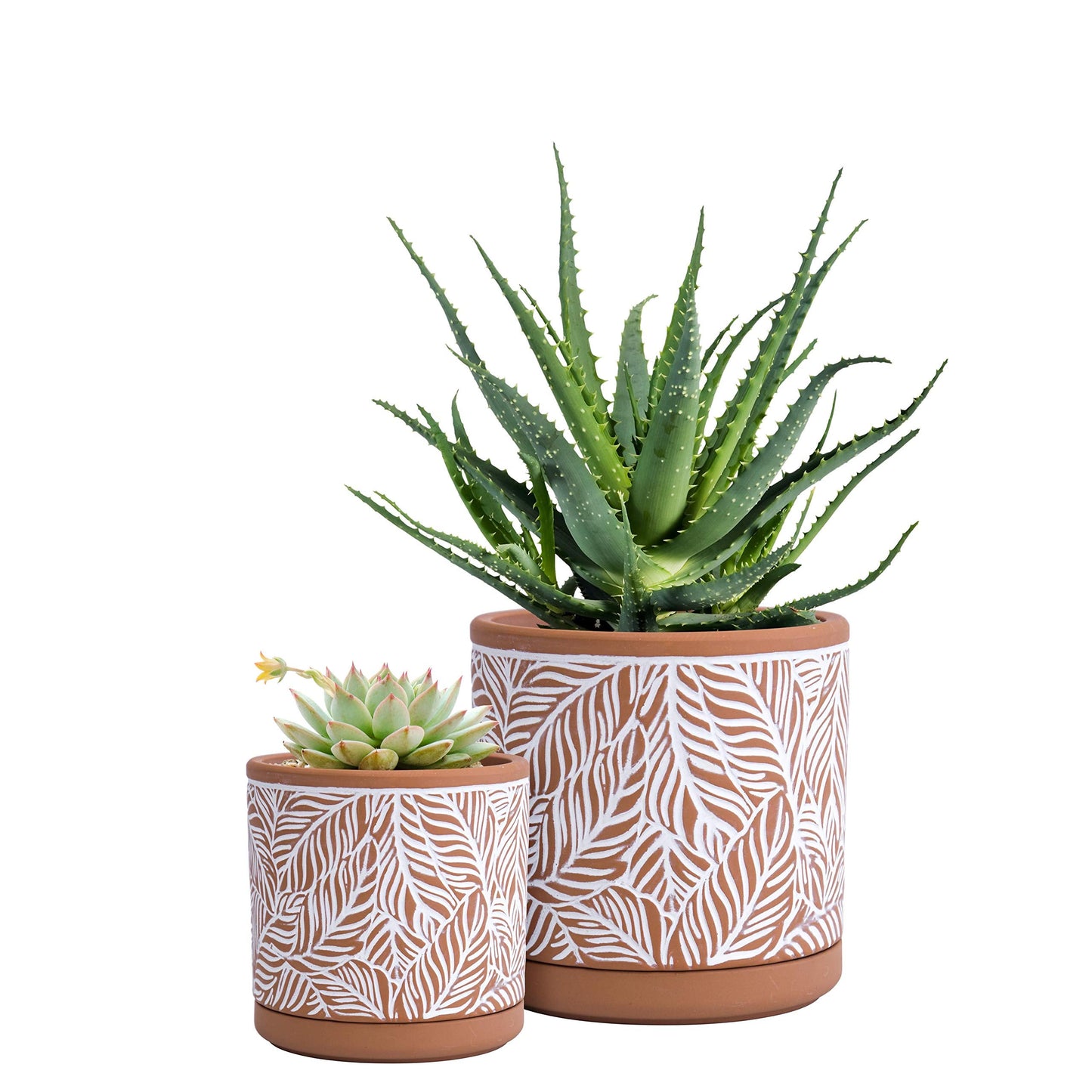 D'vine Dev Set of 2 Terracotta Pots, Leaf Pattern Planter Pot, 4 Inch and 6 Inch, Pot with Drainage Hole and Saucer, Terracotta/White, 31-958-T-1