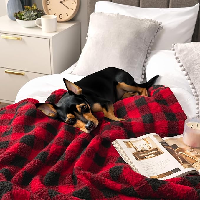 PAVILIA Sherpa Throw Blanket for Couch Sofa, Black Red Checkered Fluffy Warm Plush Blanket for Bed, Cozy Super Soft Lightweight Throw, Fuzzy Decorative Blanket, All Season Home, 50x60