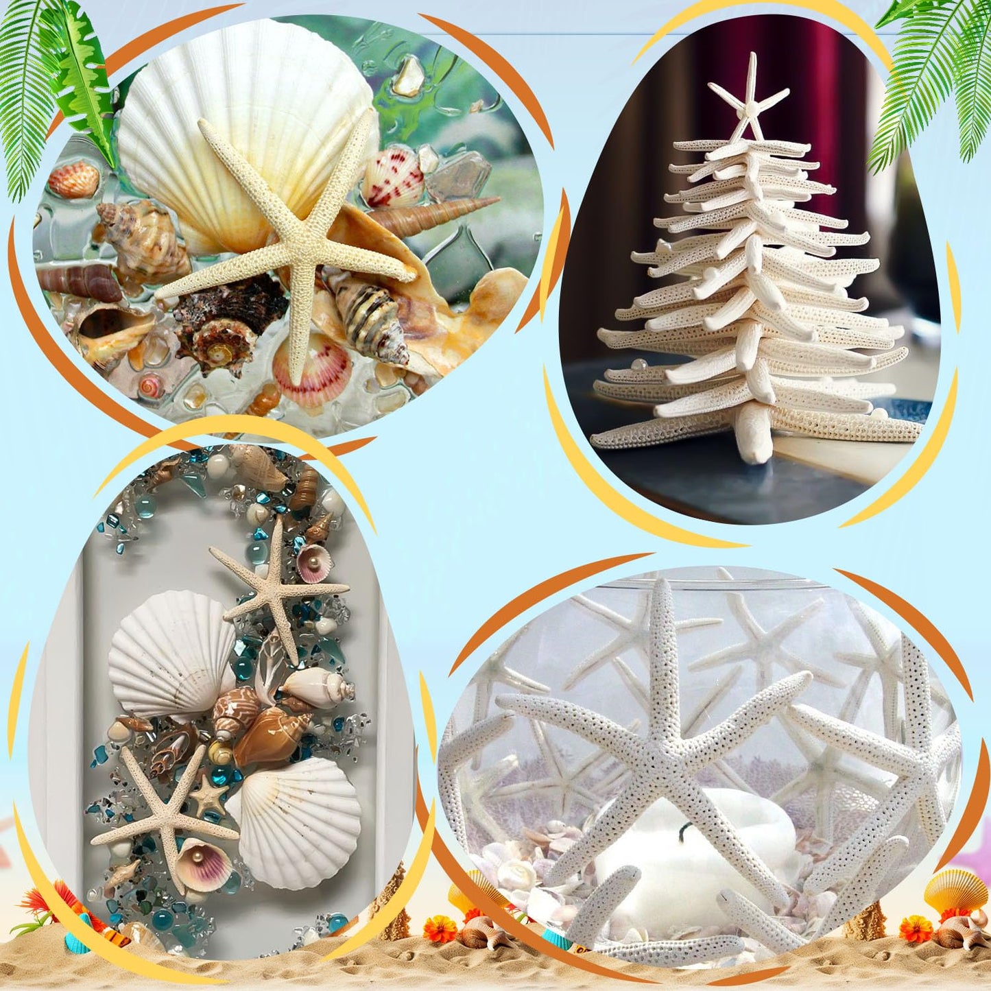 24 Pcs Starfish for Crafts, 2'' to 4'' Star Fish Shells Decorations, Natural Starfish Decor Bulk for Beach Theme DIY Crafts Christmas Tree Ornaments